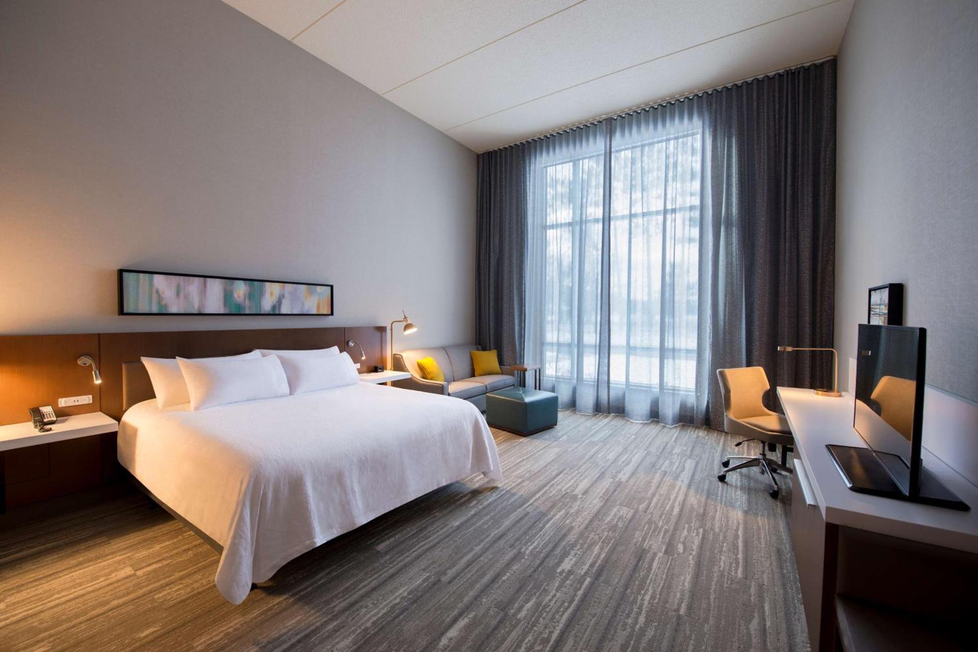 King Room with Sofa Bed - Hearing Accessible/Non-Smoking