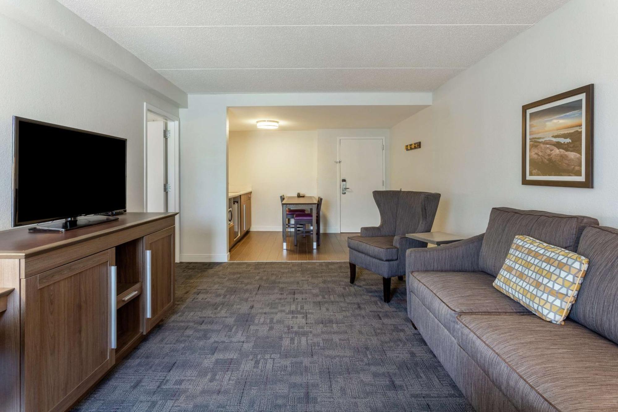 One-Bedroom King Suite - Non-Smoking