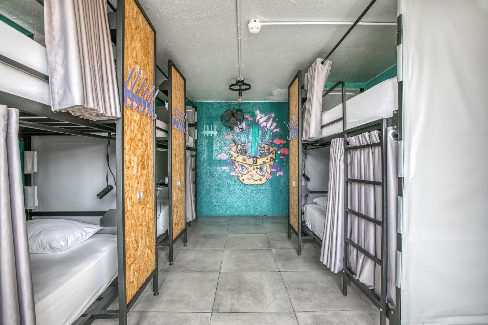 Bed in 6 Bed Dormitory Room