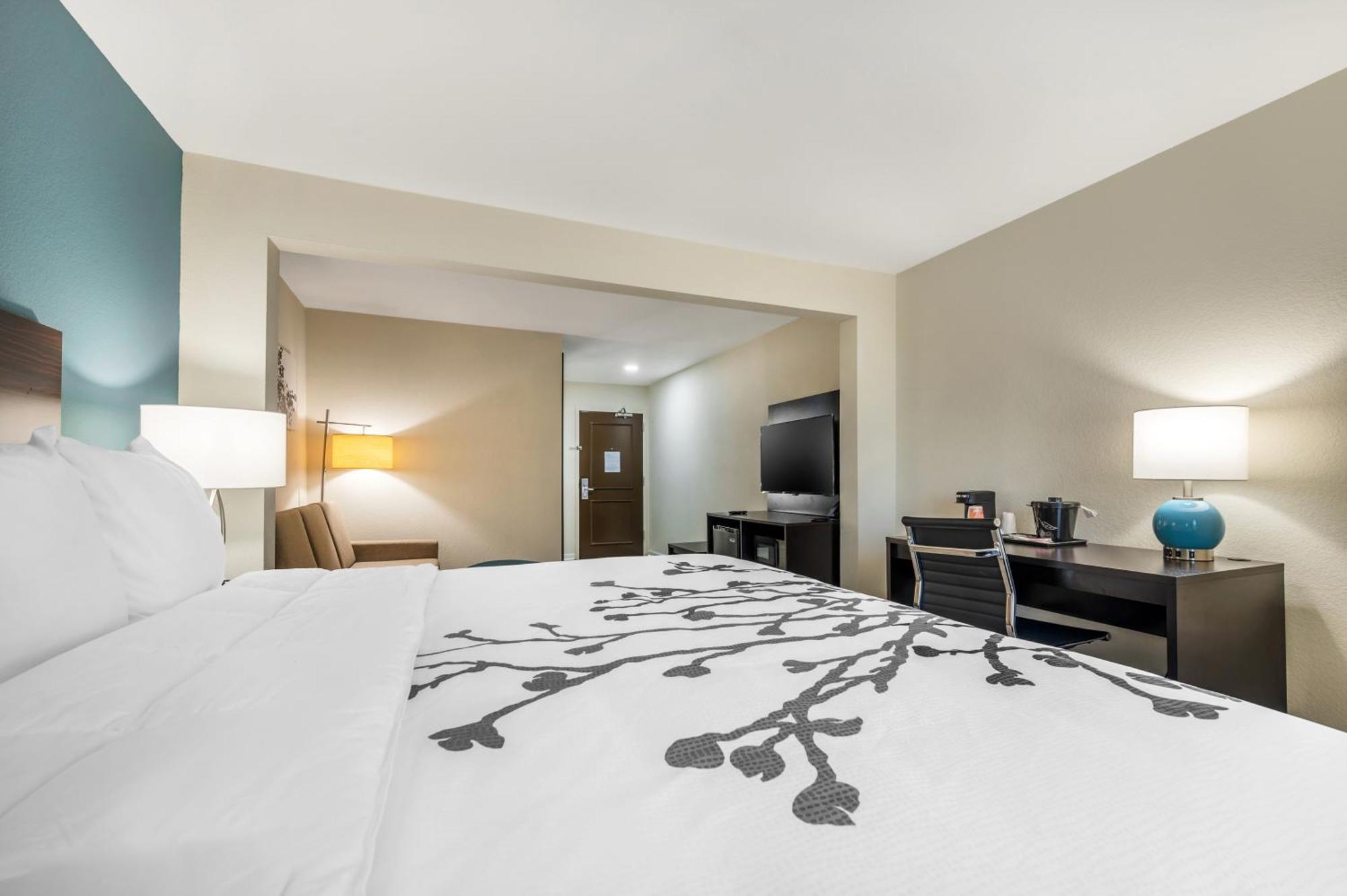 One Room Suite - Non Smoking,1567038530:JPEG