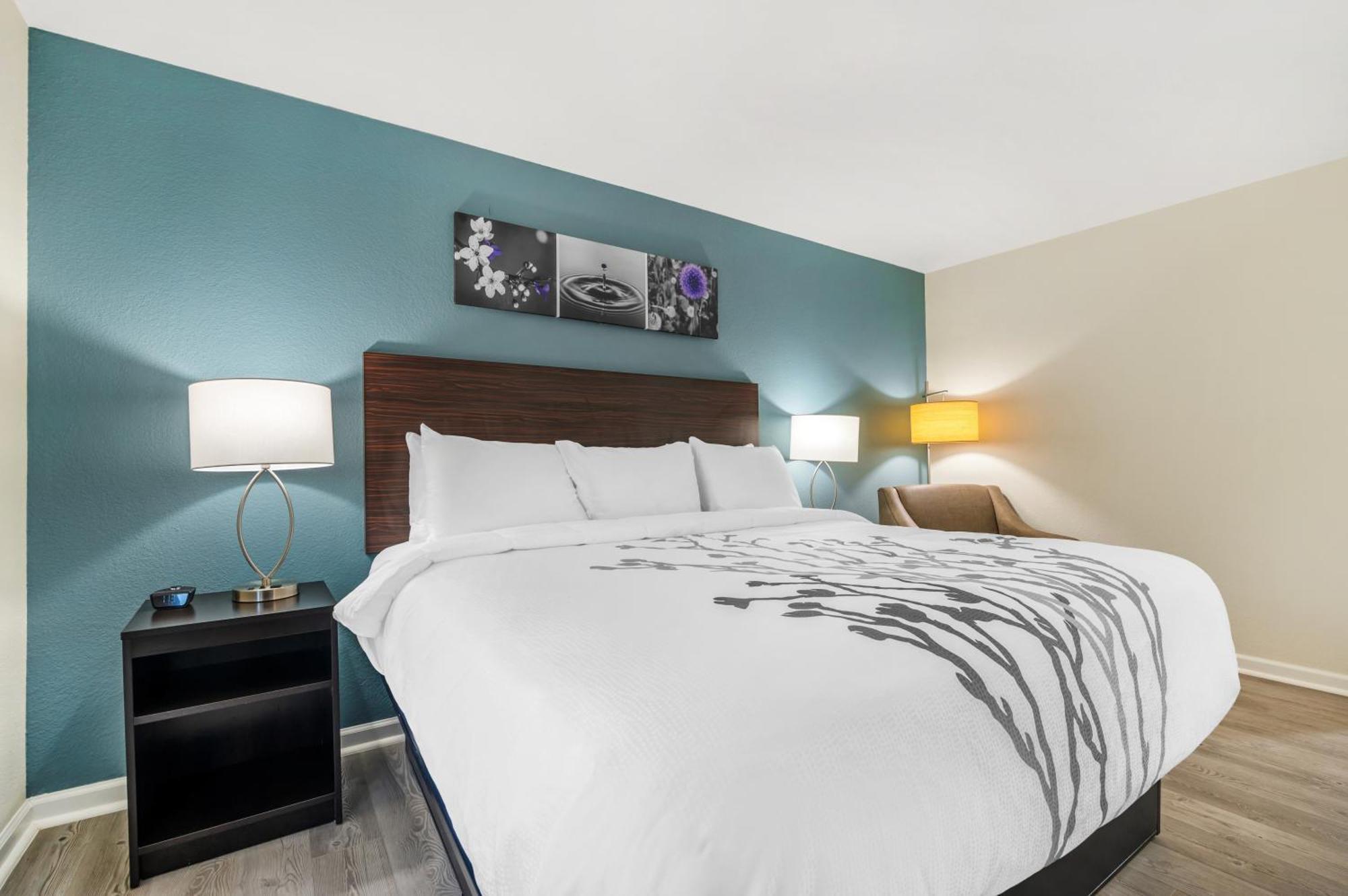 King Room - Non Smoking,1566943841:JPEG