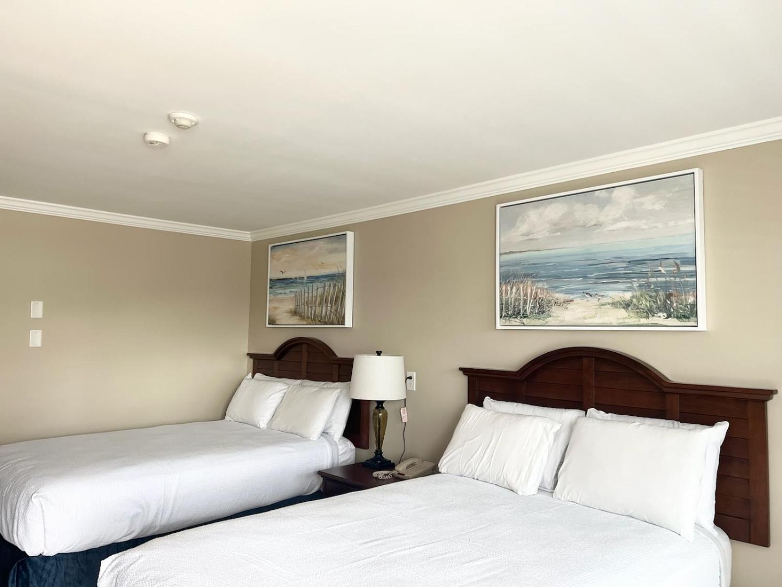 Standard Double Park View with Four Park Passes/each night of stay