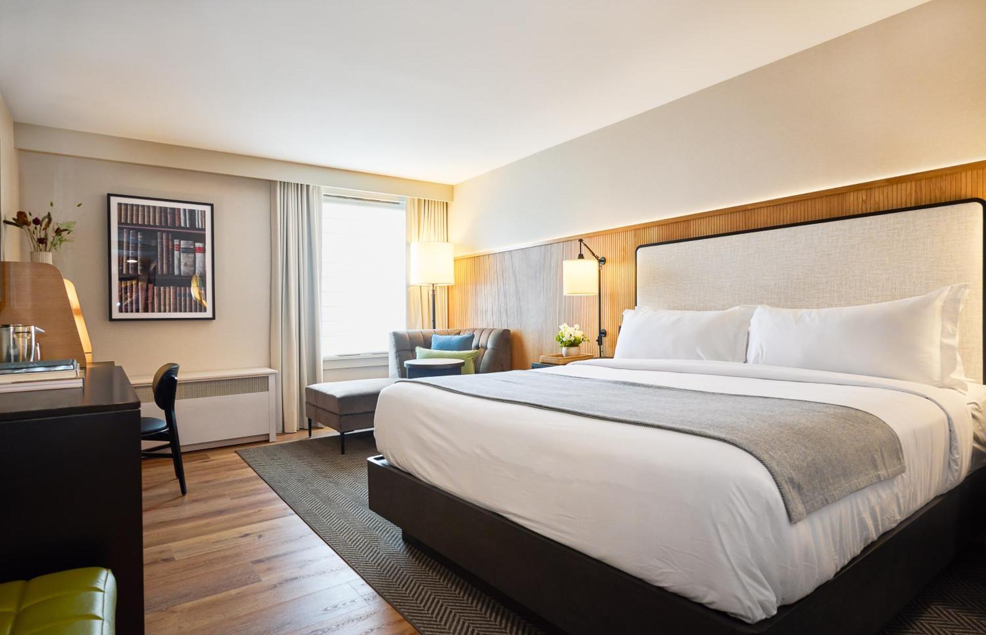 Superior King Room,1566984869:JPEG