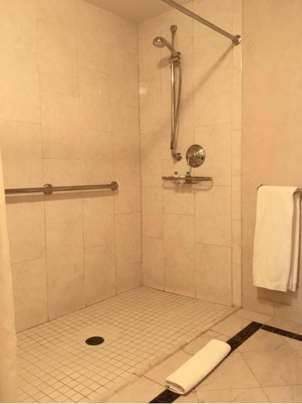 King Room with Roll-In Shower - Disability Access