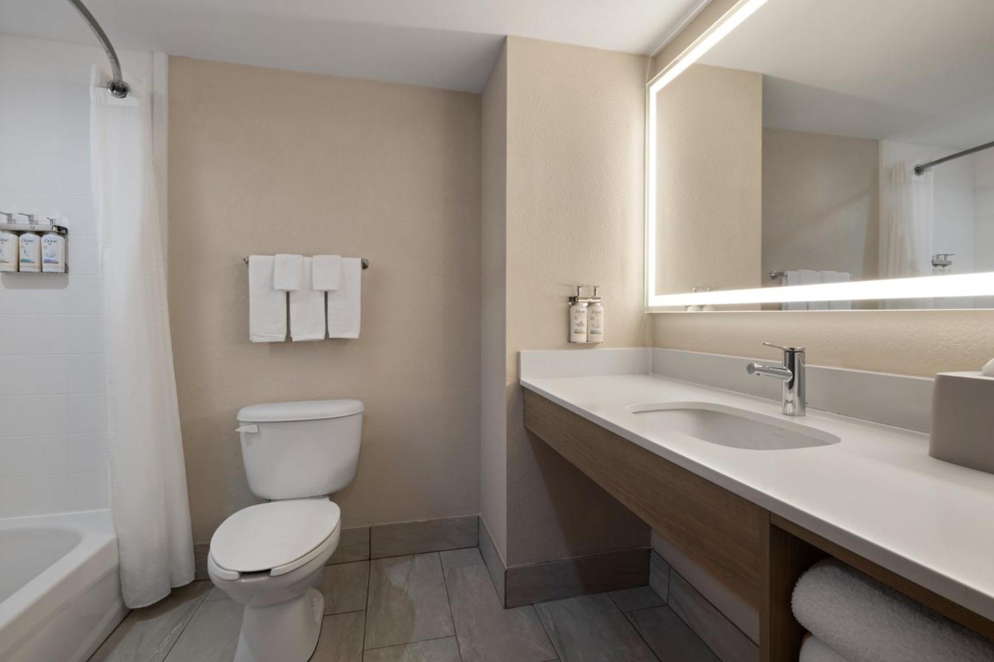 One-Bedroom Suite