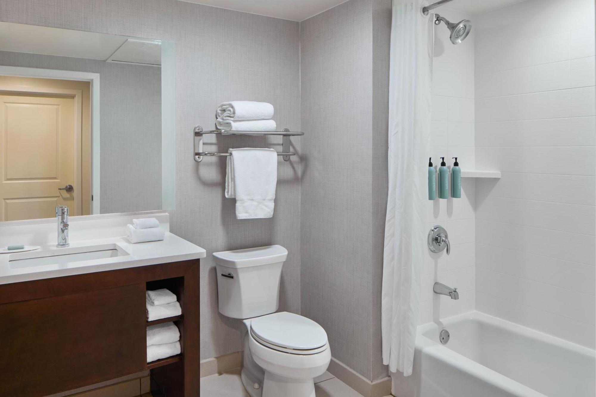 One-Bedroom King Suite with Sofa Bed