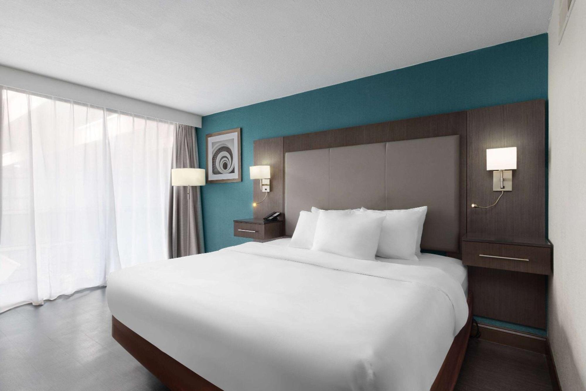 King Room with Roll-In Shower - Disability Access