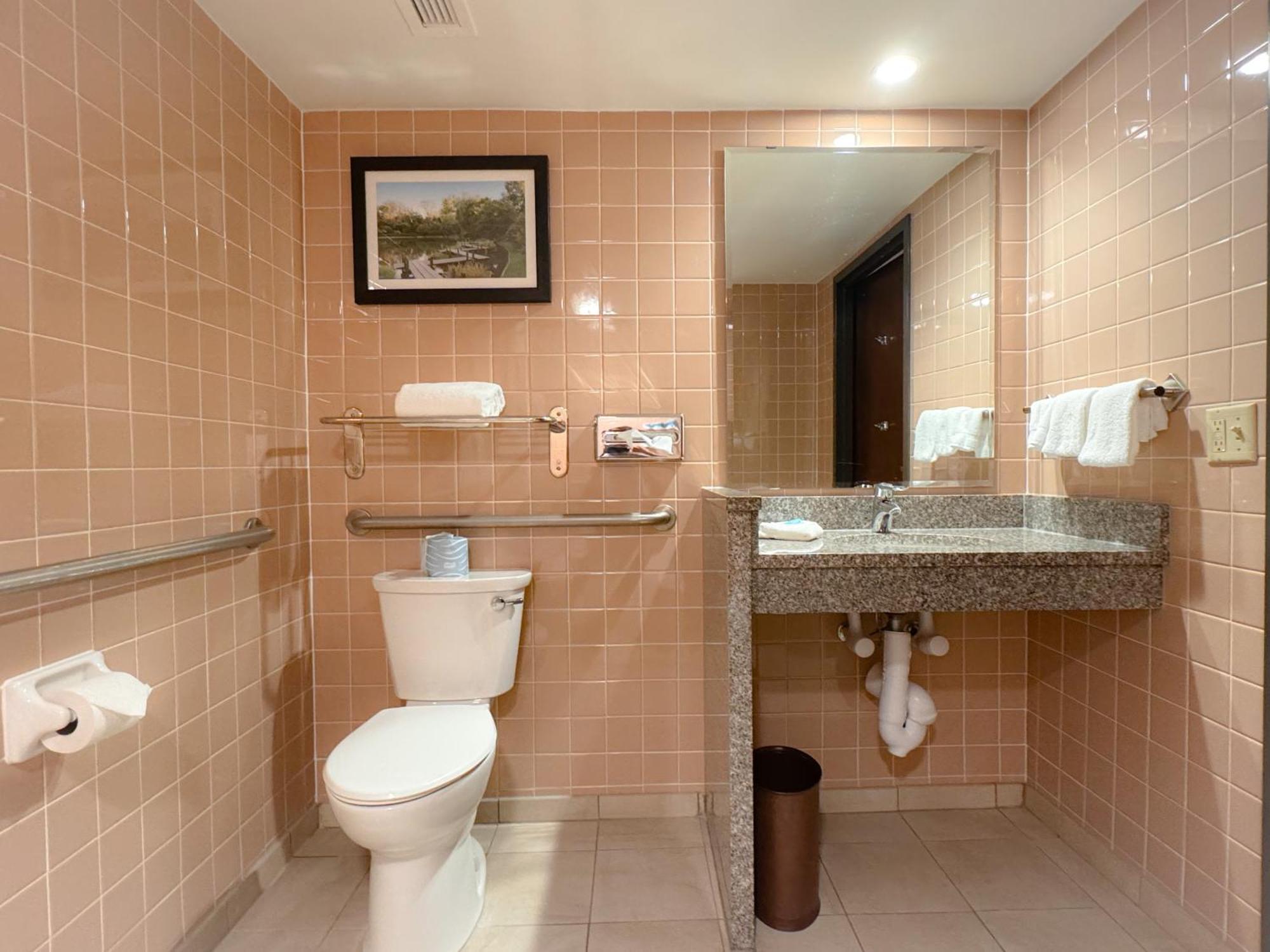 King Deluxe Room with Tub w/Grab Bars - Mobility/Hearing Accessible - Non-Smoking