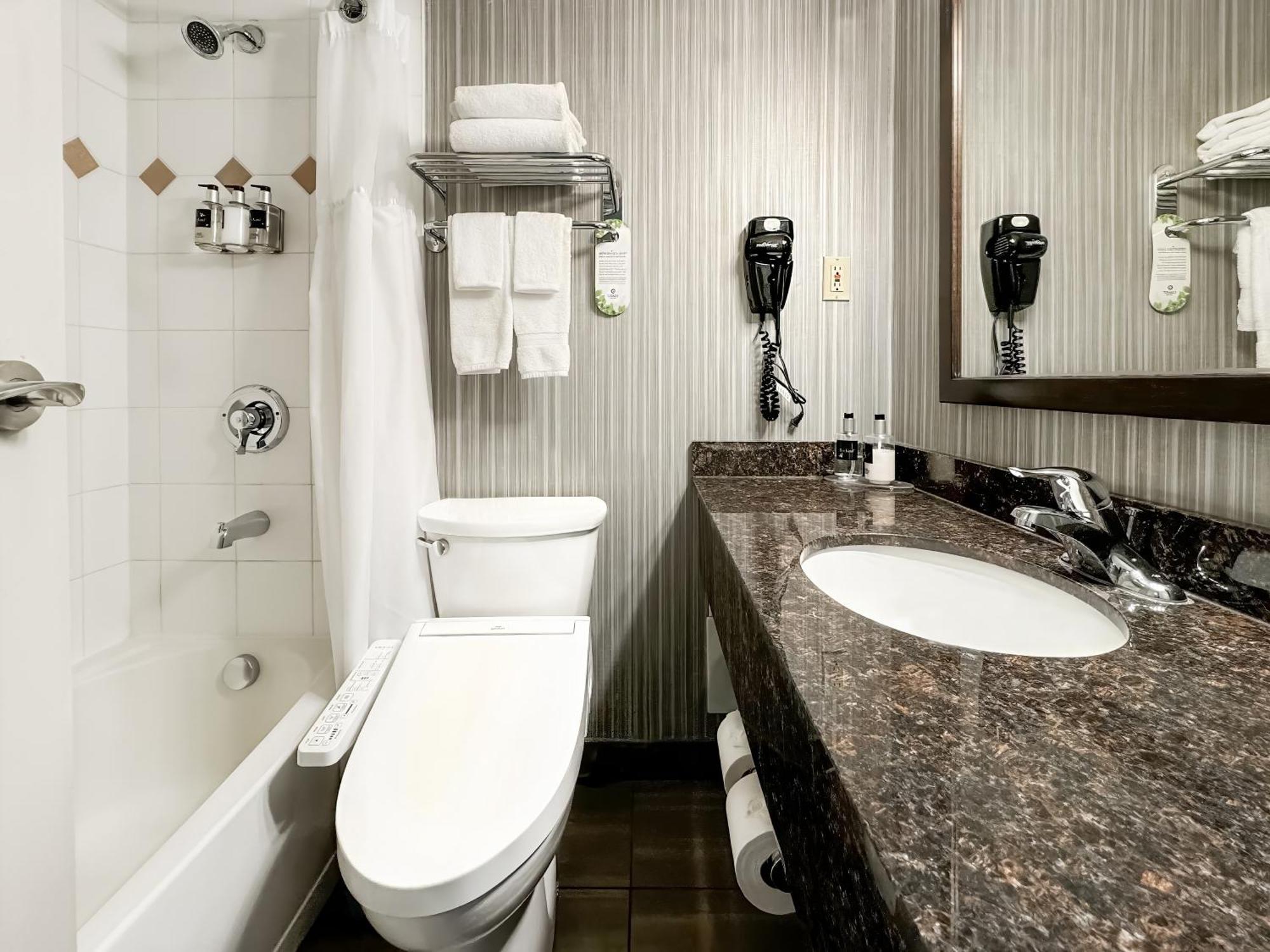 Coast One Bedroom King Suite