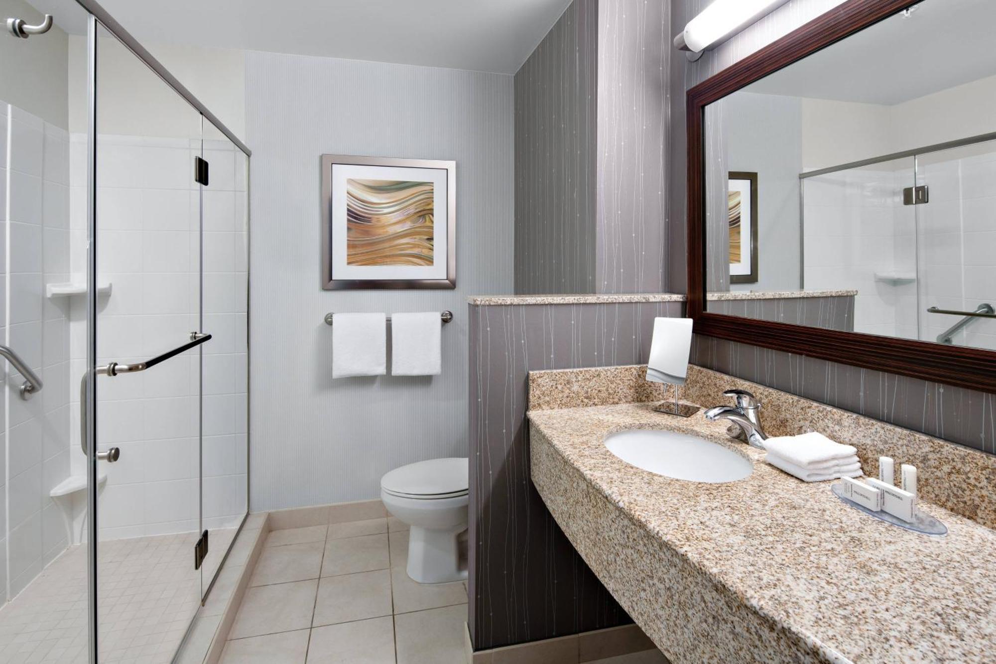 One-Bedroom King Suite with Sofa Bed