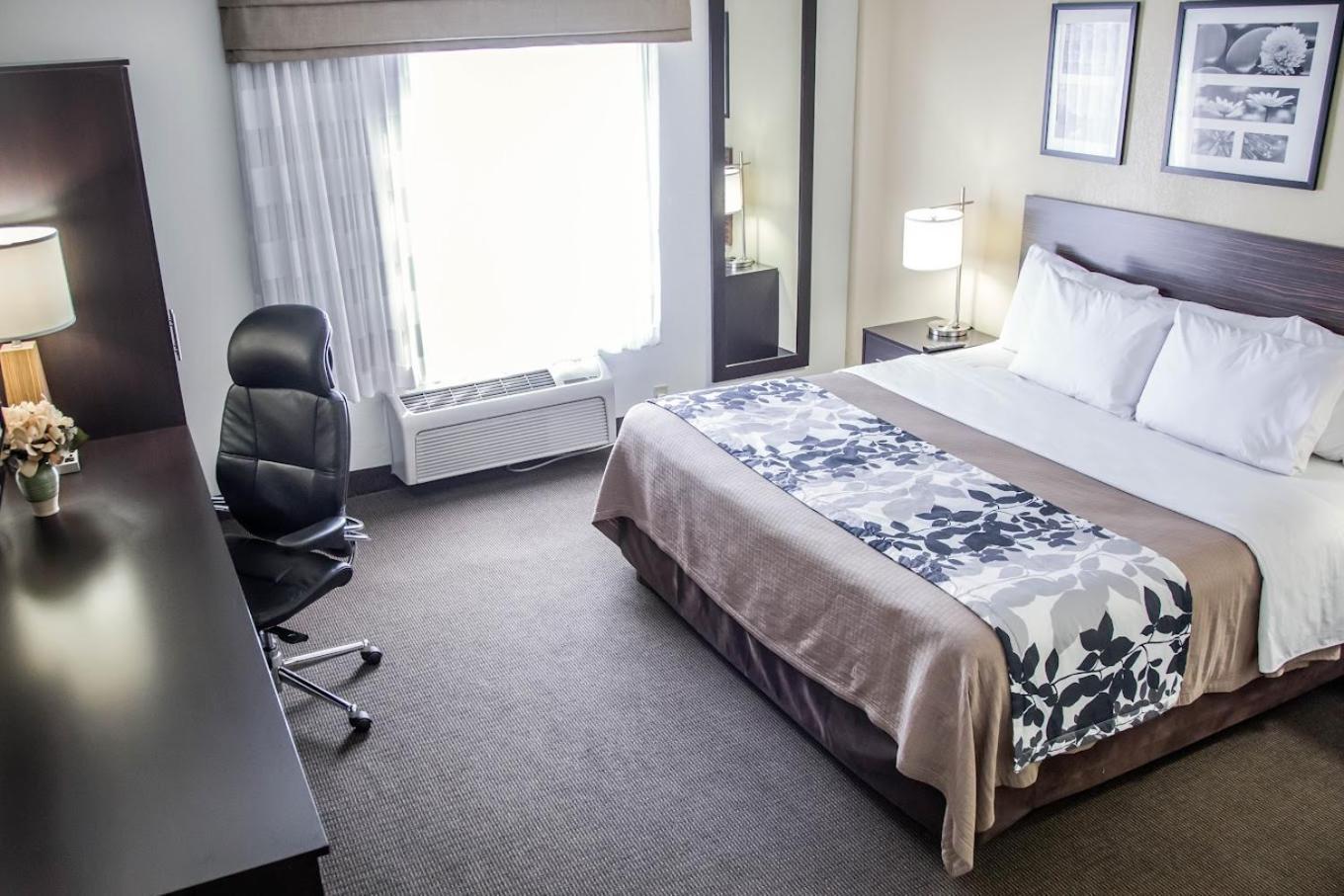 King Room - Non Smoking,1620994260:JPEG