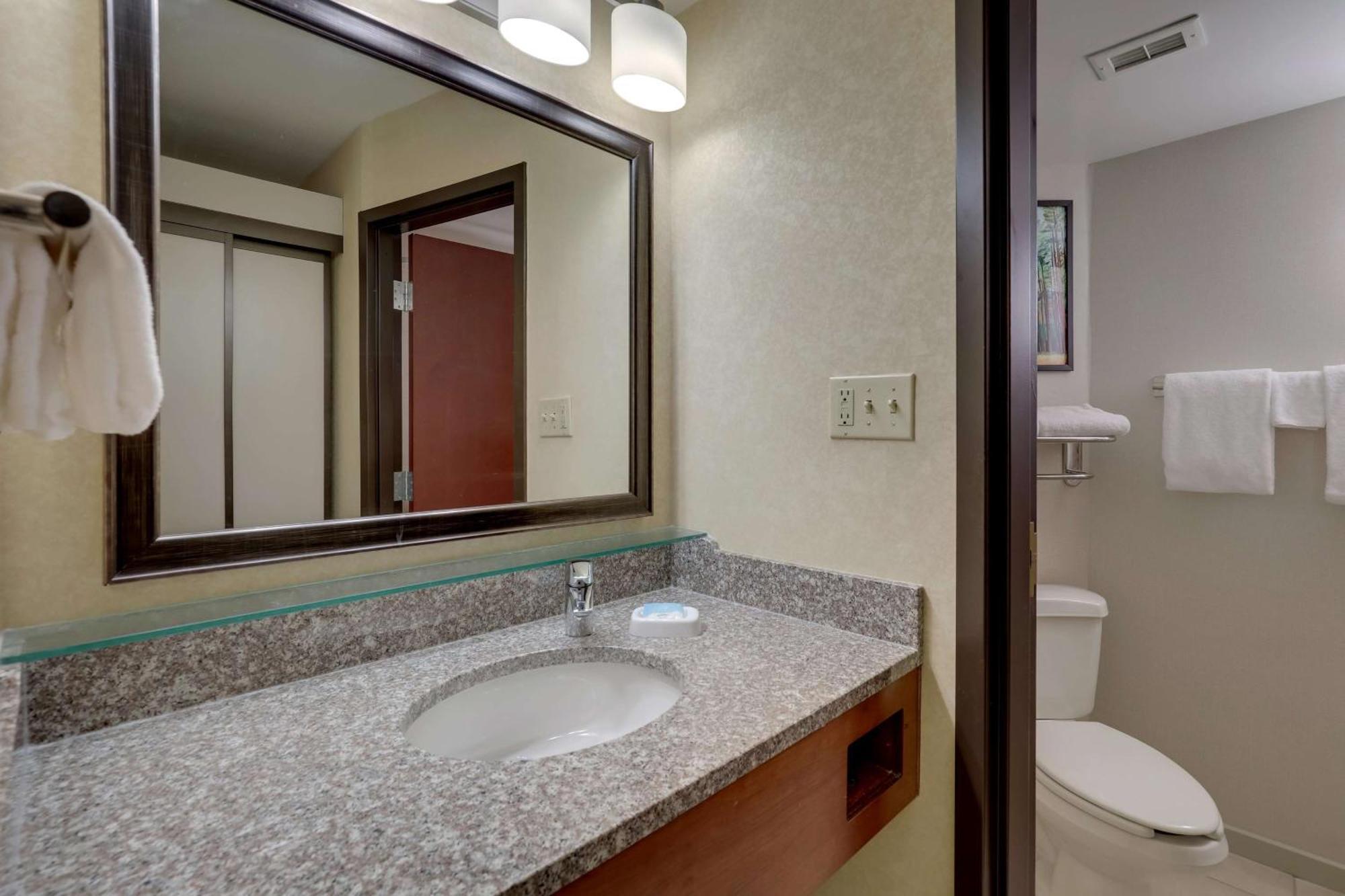 King Suite with Sofa Bed