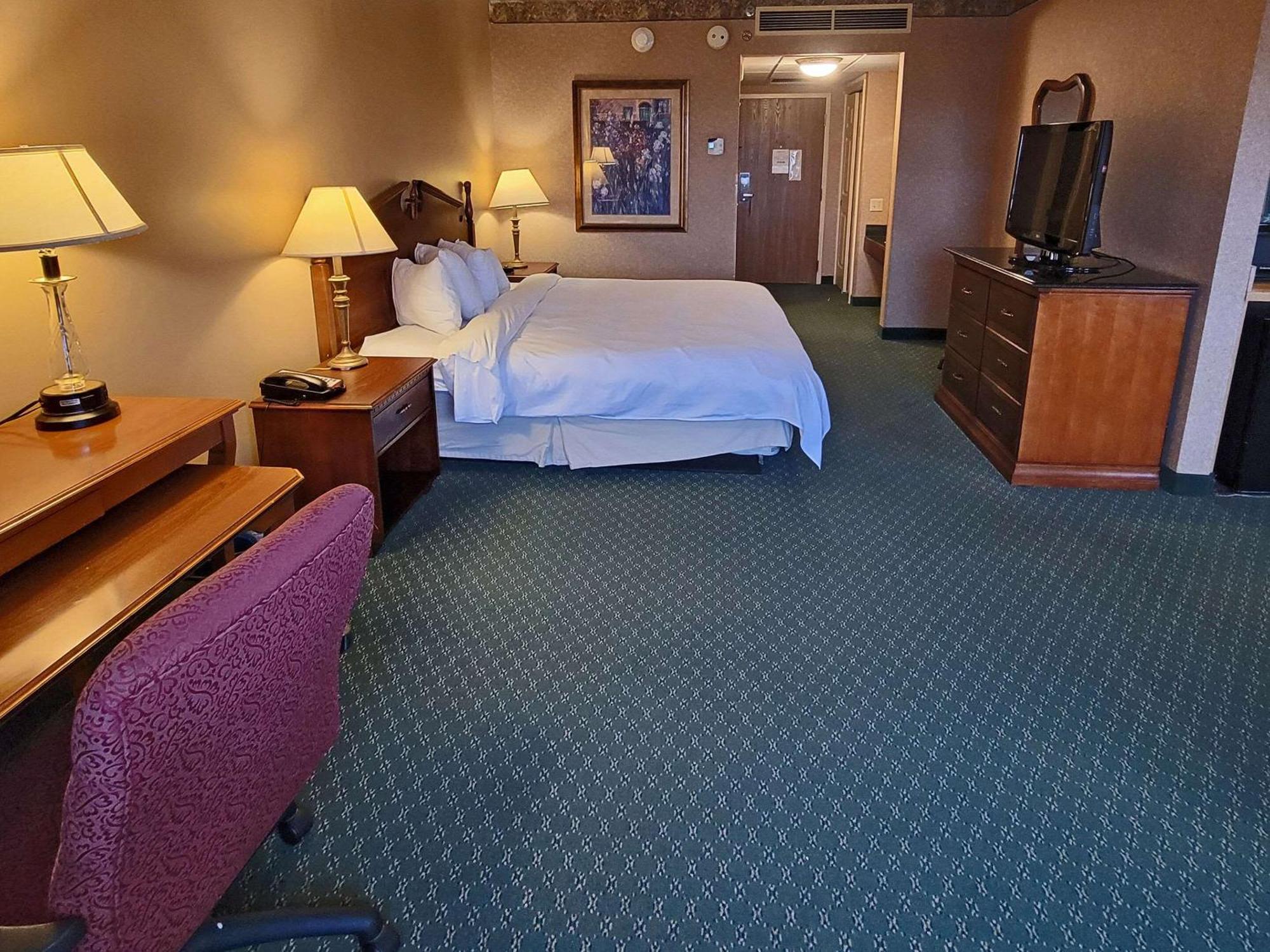 One-Bedroom King Suite with Sofa Bed - Non-Smoking,1623666702:JPEG