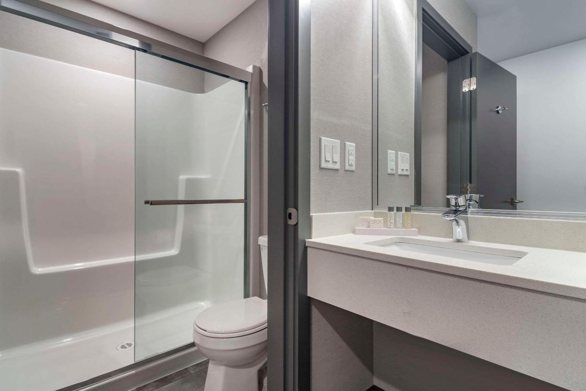 Efficiency King Suite with Sofa Bed - Non-Smoking