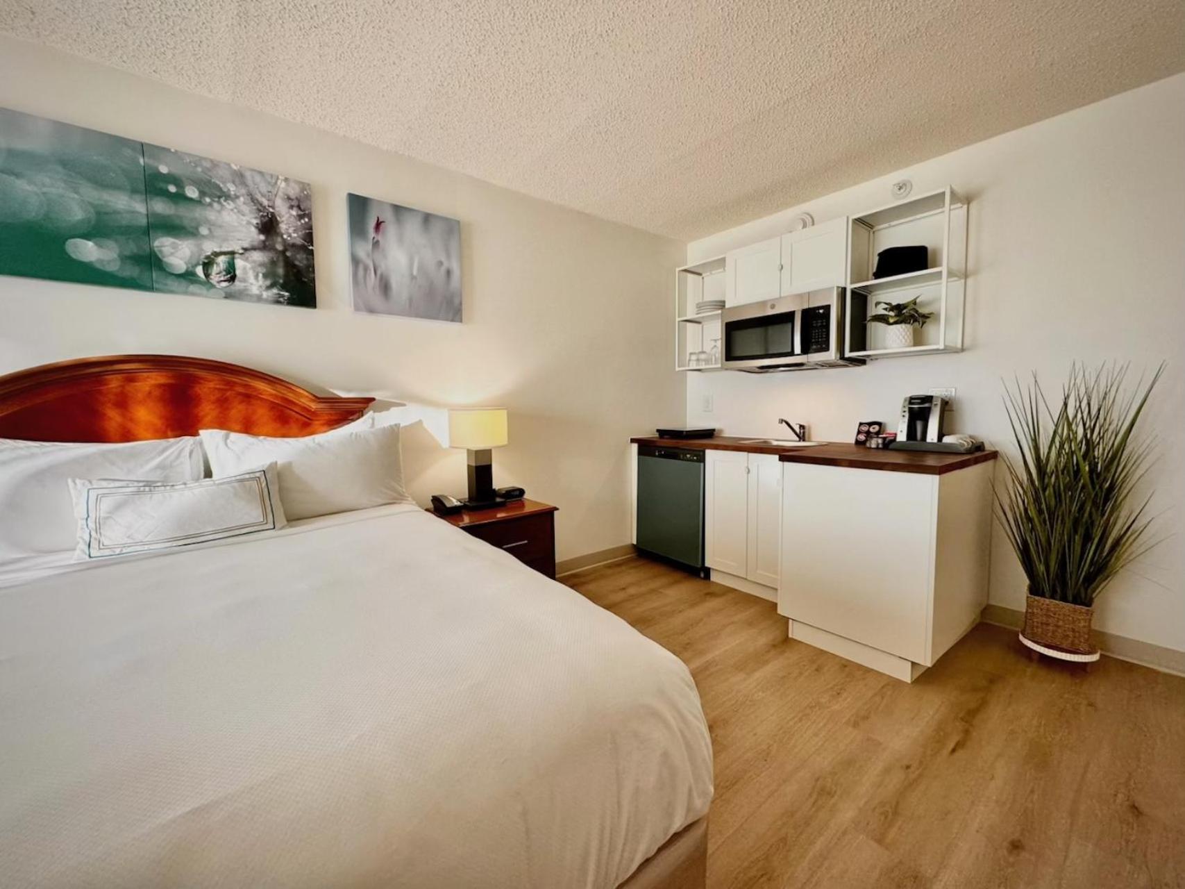 King Studio,1624757130:JPEG