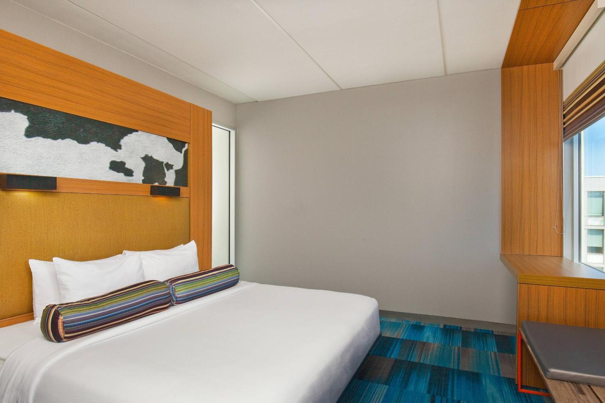 King Room with Roll-in Shower - Mobility and Hearing Accessible,1631561366:JPEG
