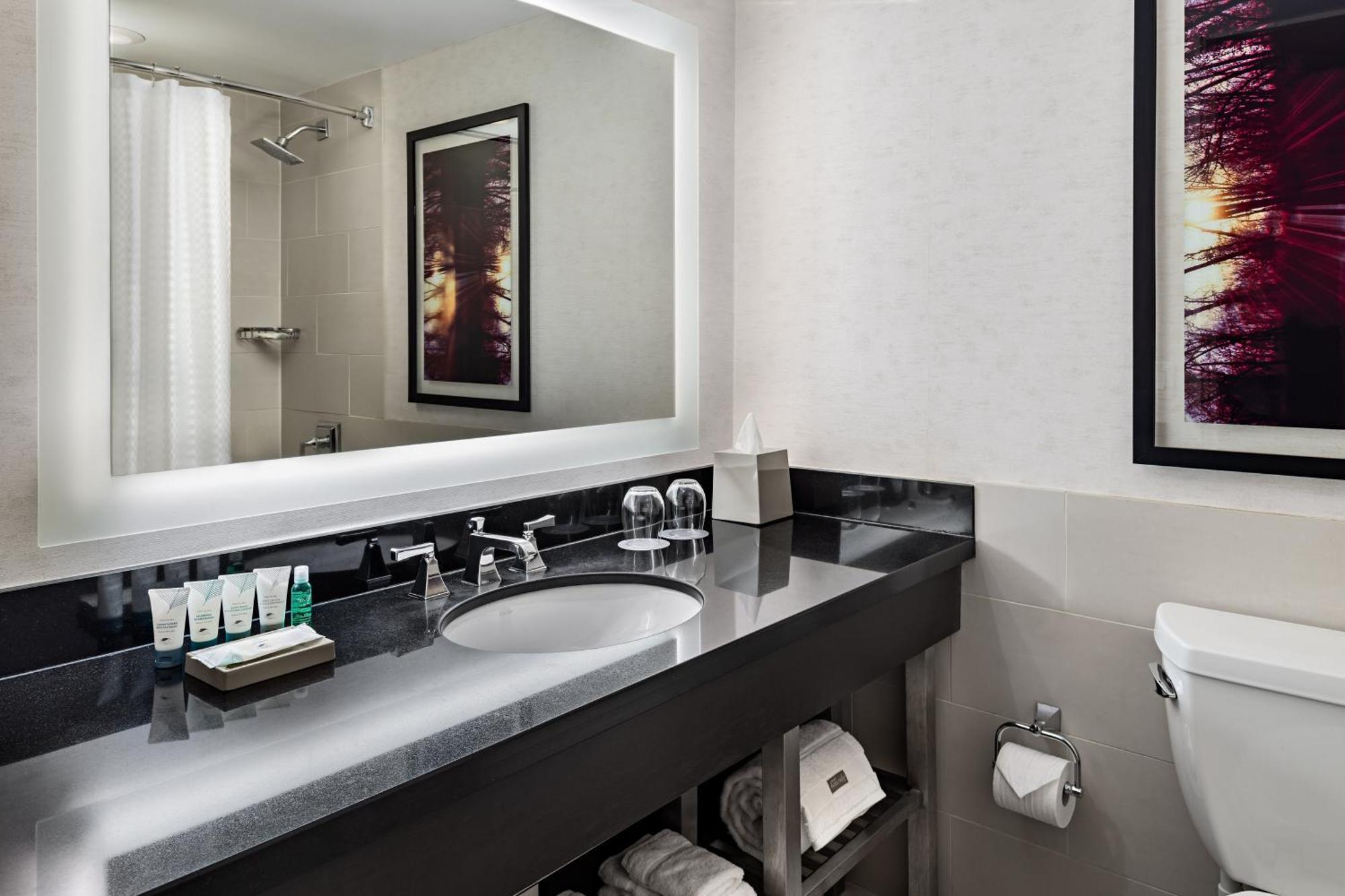 Guest room, 1 King, Balcony, Lake view