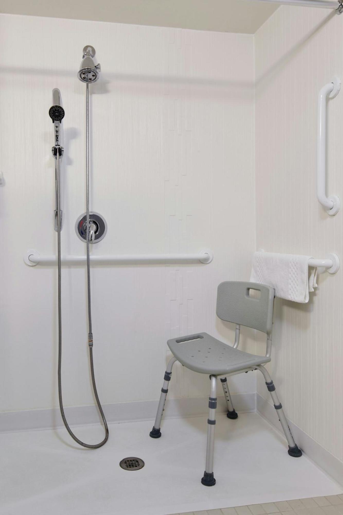 King Room with Roll-In Shower and Sofa Bed - Mobility Access/Hearing Accessible