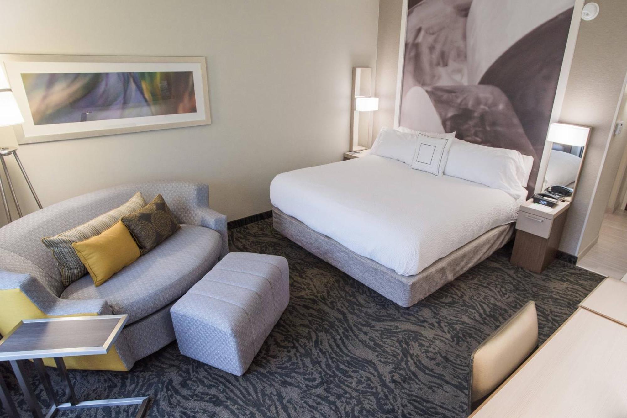 King Room with Roll-In Shower and Sofa Bed - Mobility Access
