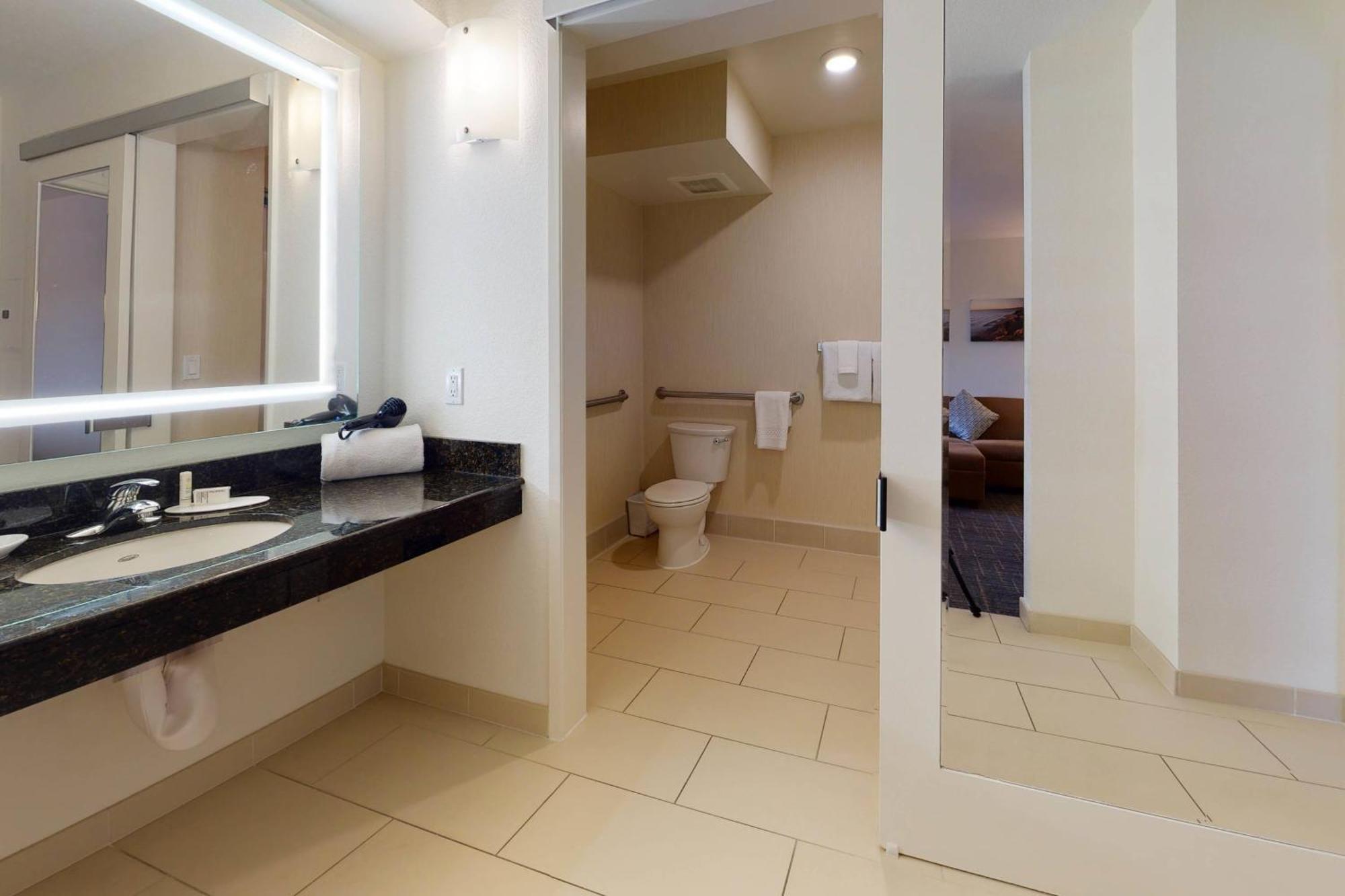 One-Bedroom King Suite