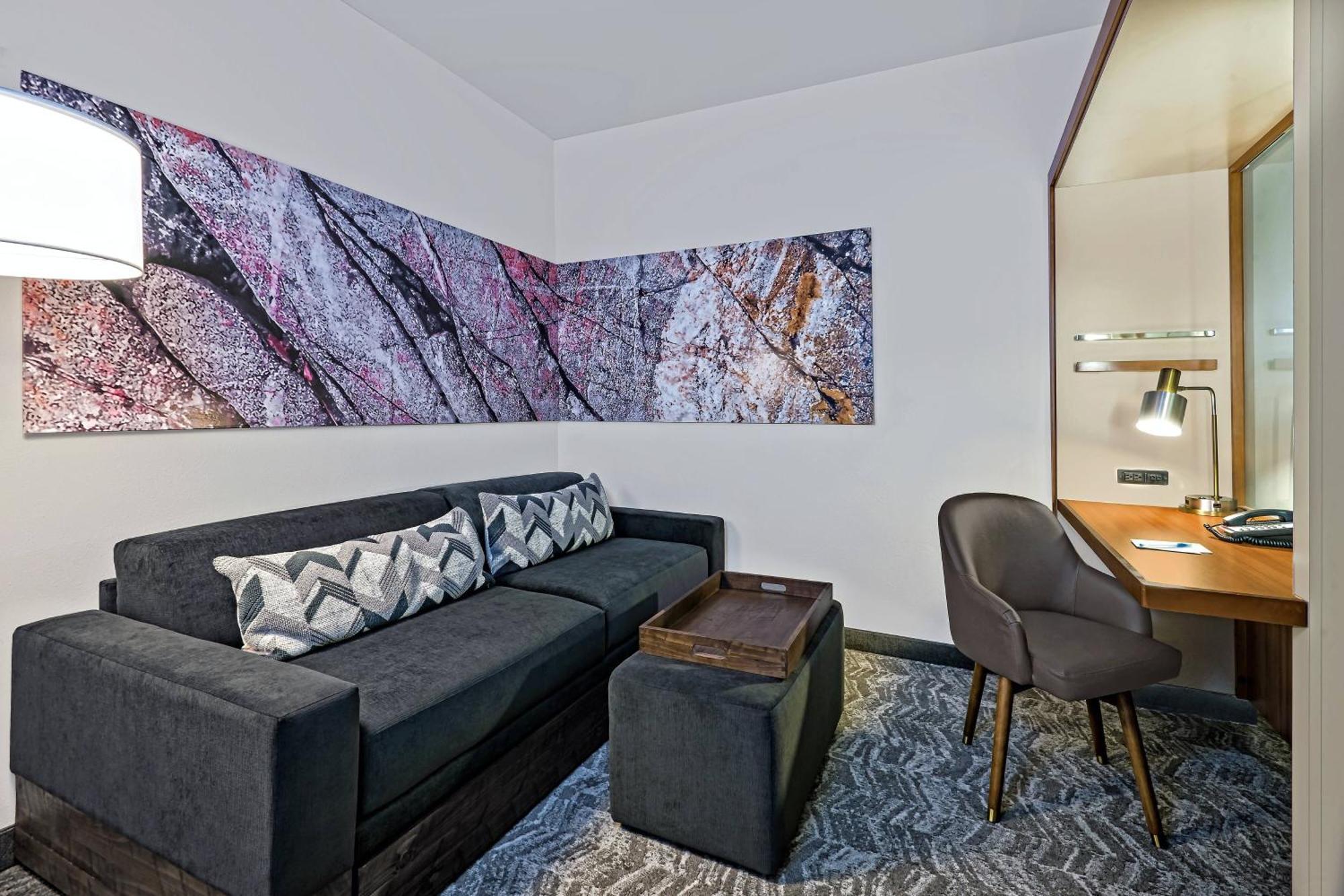 King Suite with Roll-In Shower and Trundle Sofa - Mobility Access/Hearing Accessible