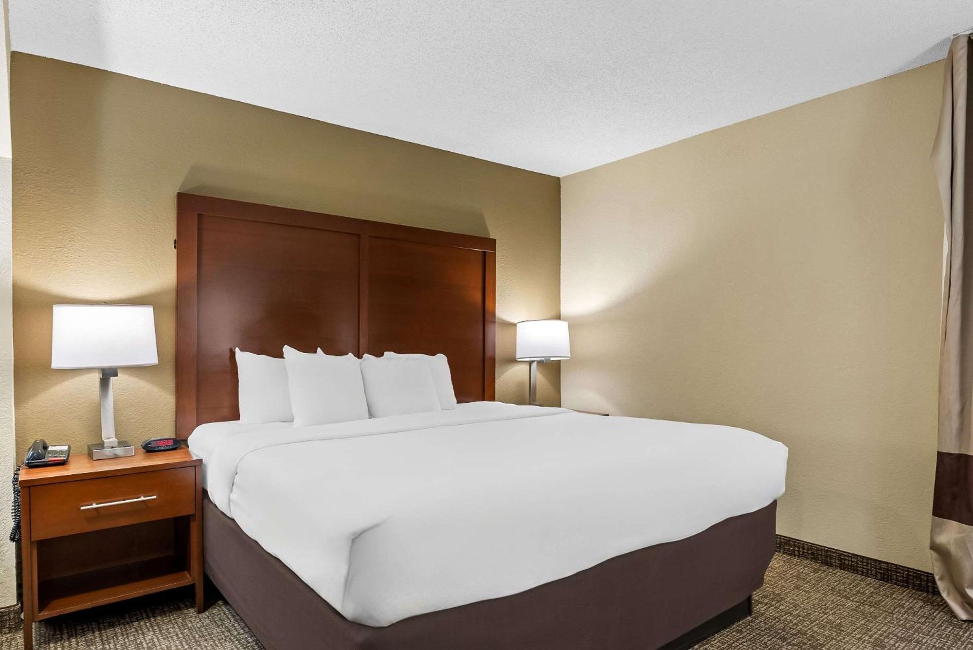 King Suite with Sofa Bed - Non-Smoking