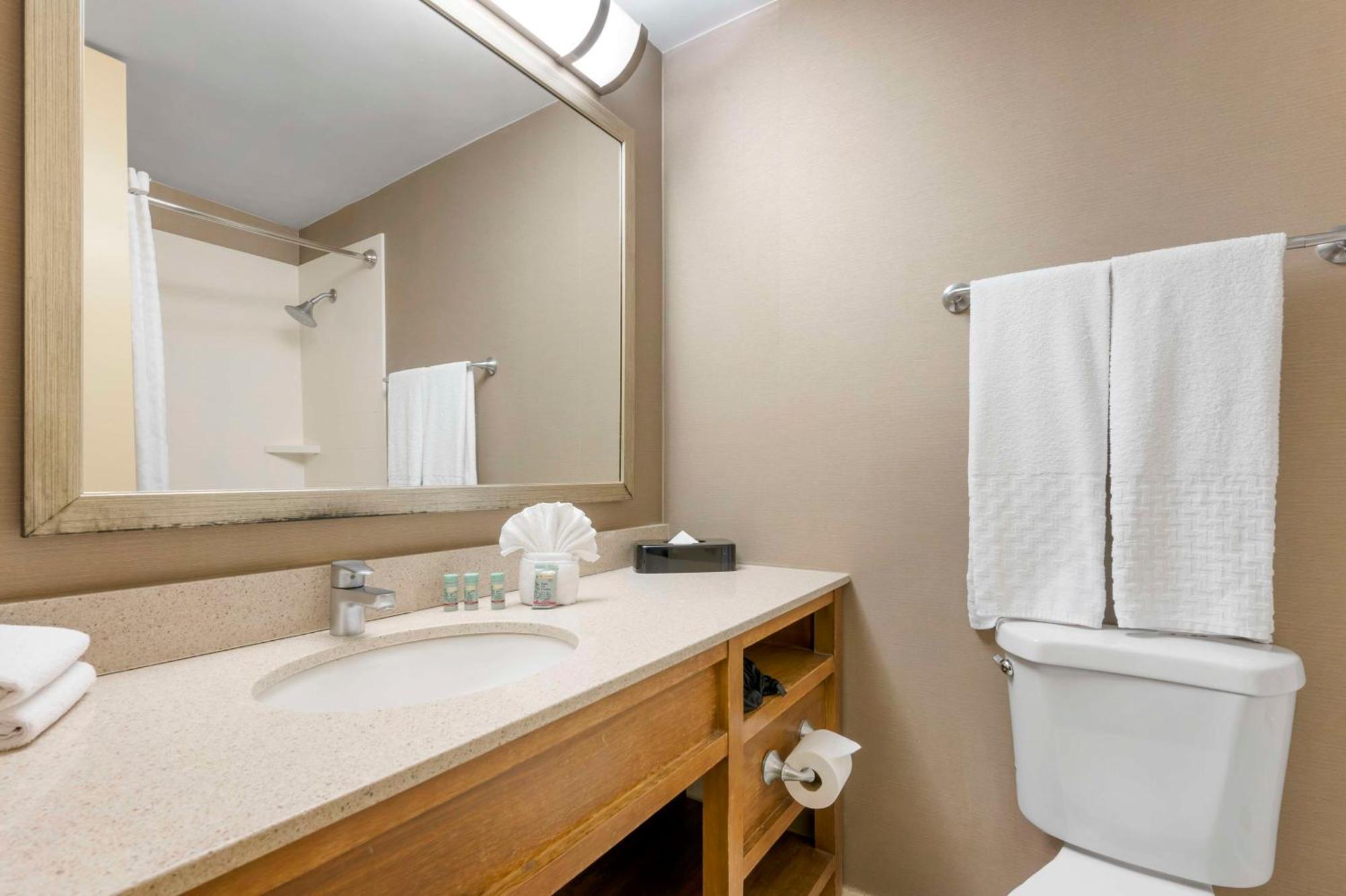 Double Room with Two Double Beds - Non-Smoking