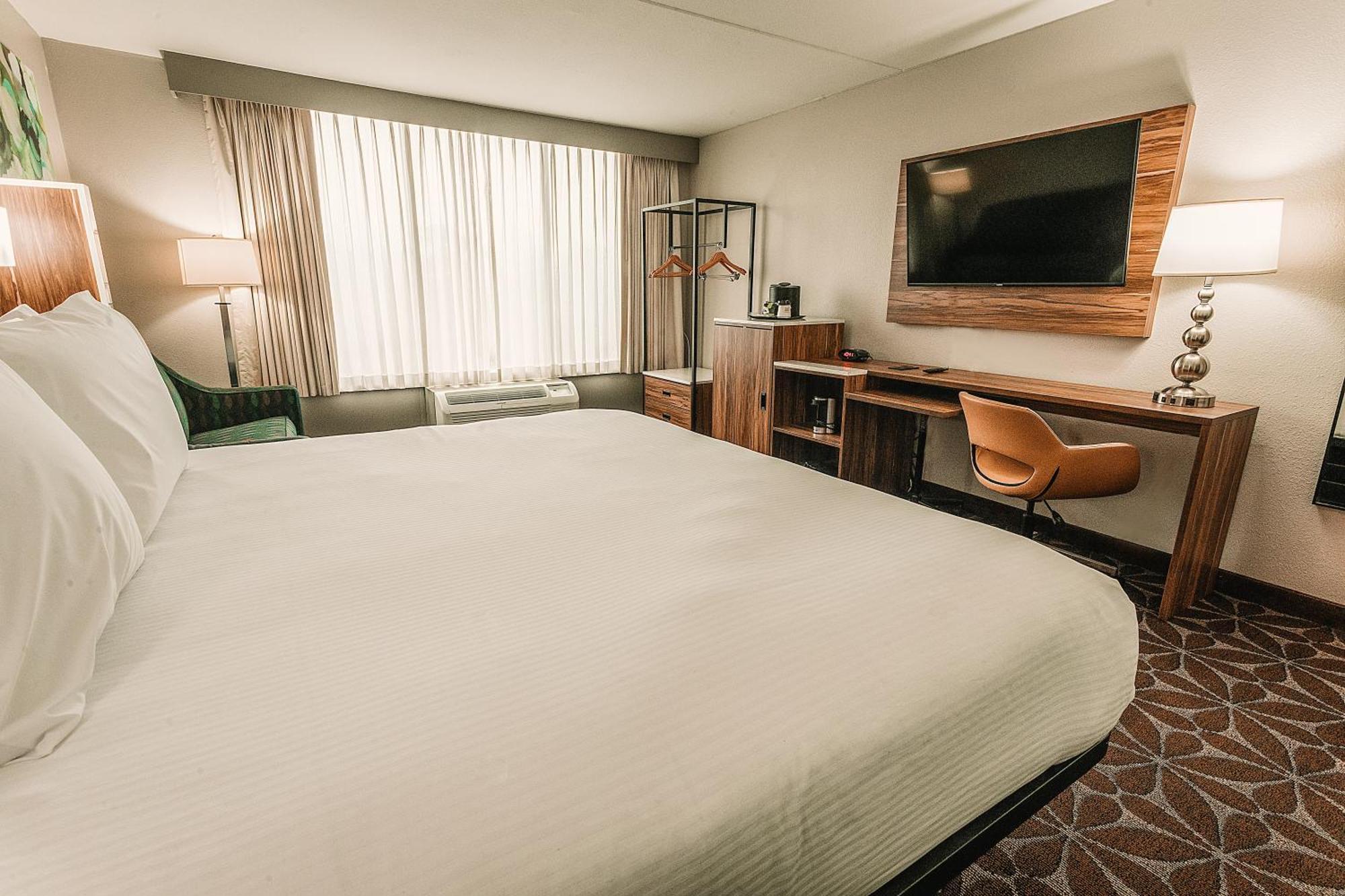 Junior King Suite - Non-Smoking