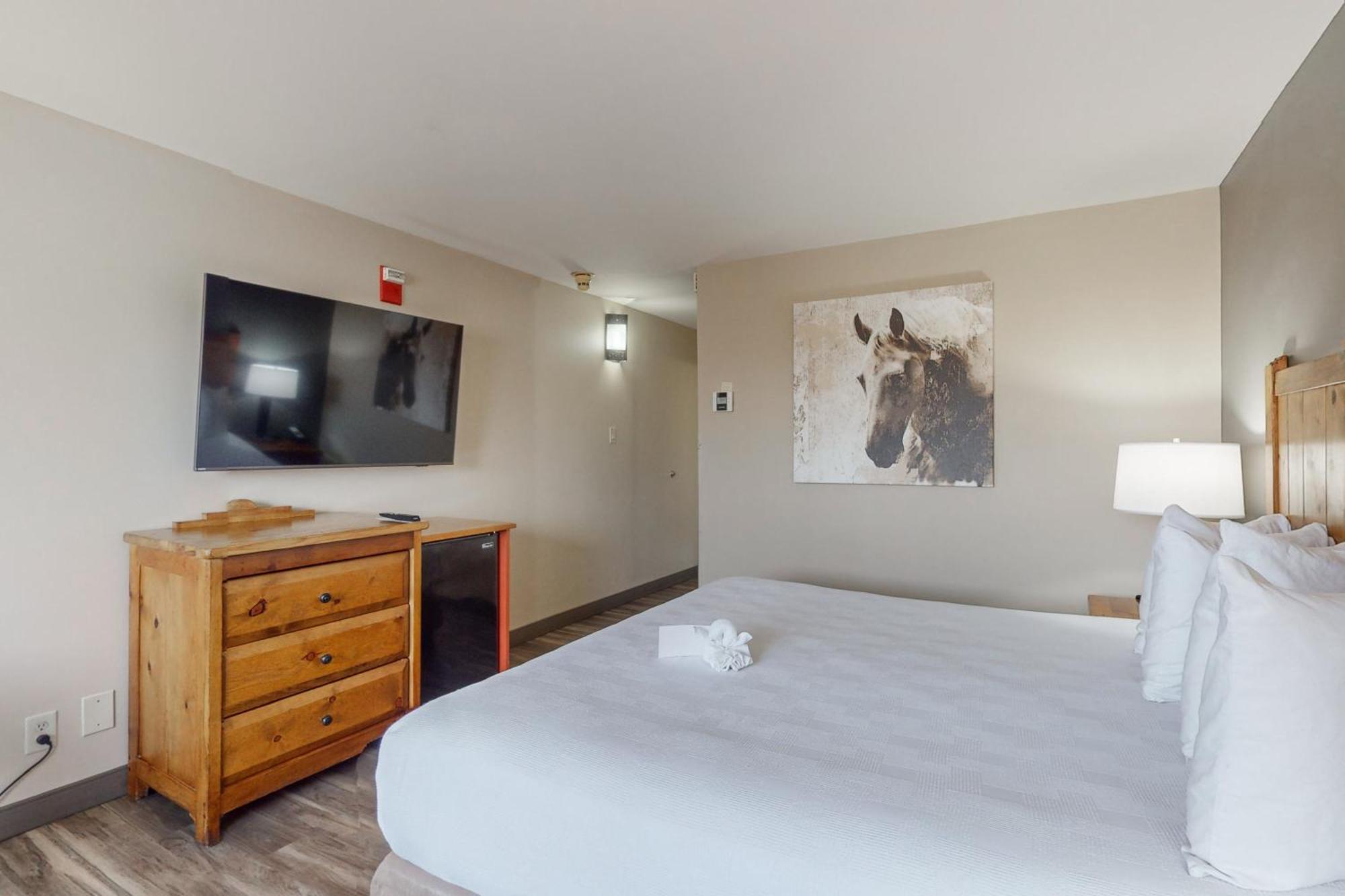 King Room - Non-Smoking/Pet Friendly,1651729889:JPEG