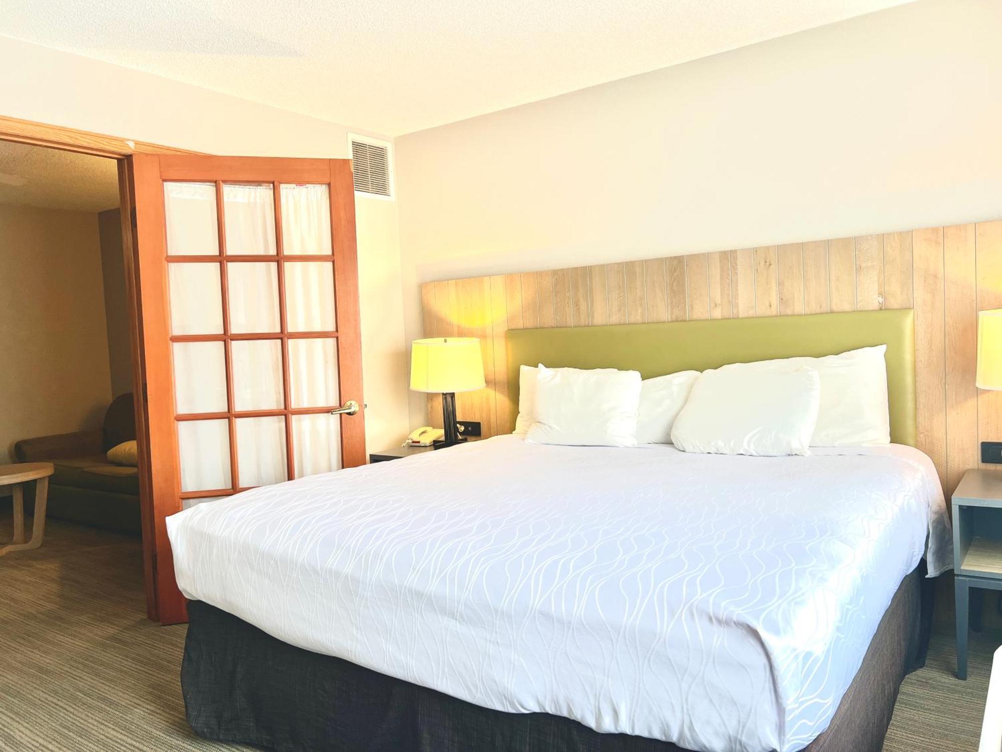 1 King Bed Suite with Sofa bed