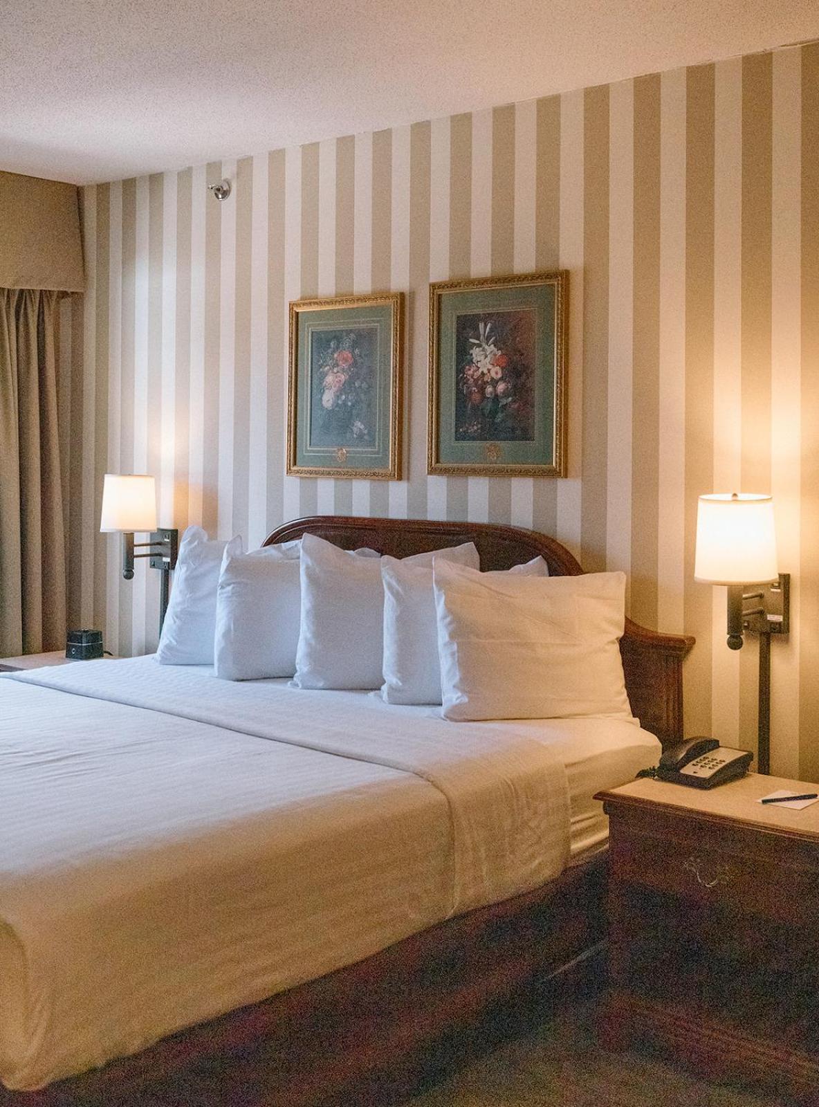 King Room with Spa Bath,1667443062:JPEG