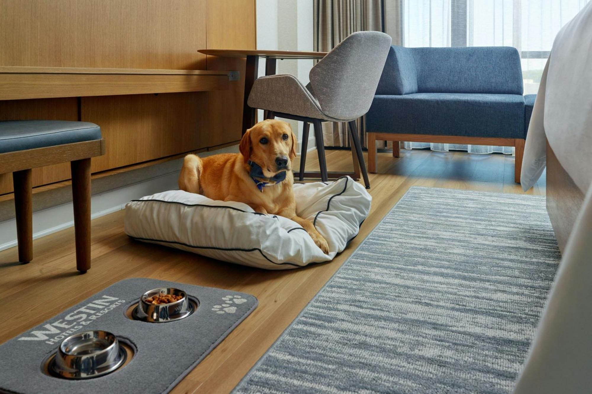 Deluxe Room with Two Queen Beds