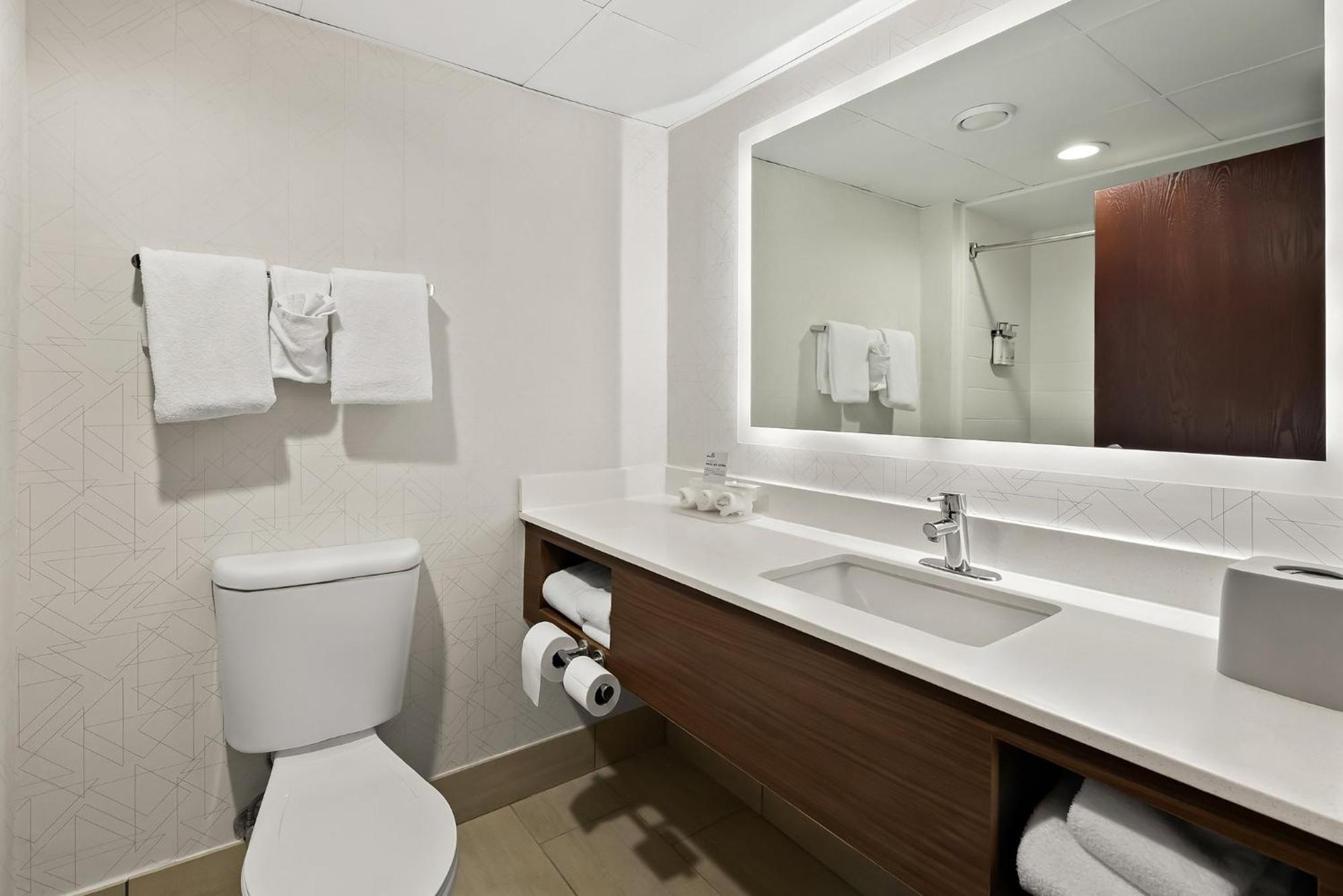 One-Bedroom King Suite