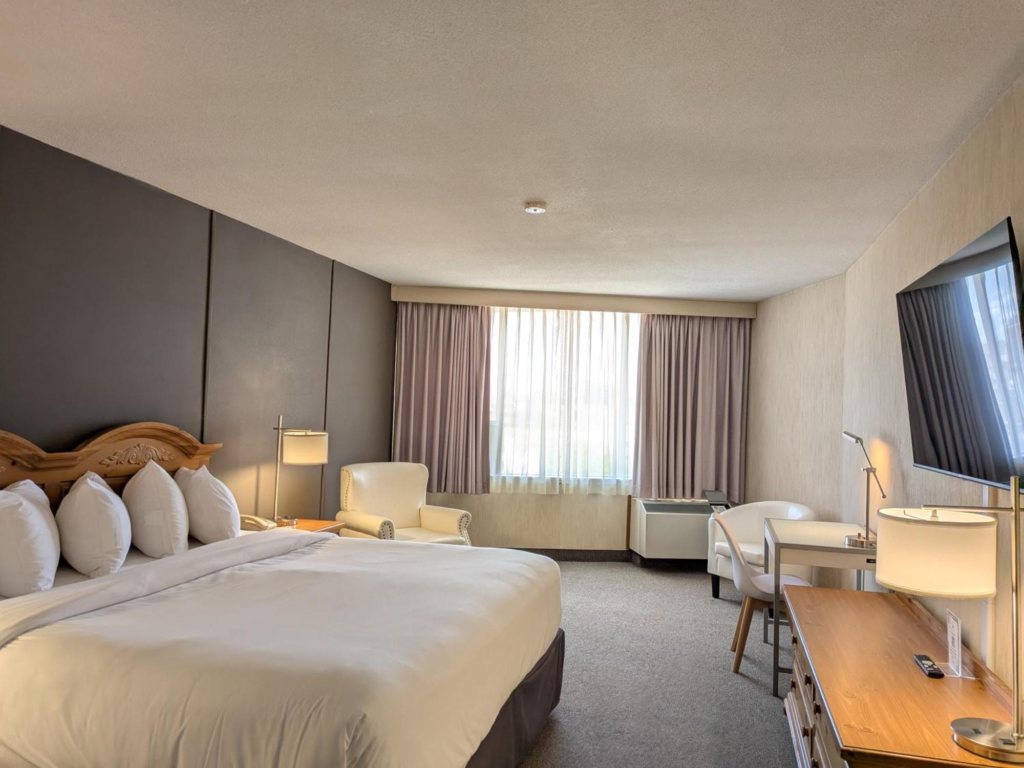 Standard King Room with City View
