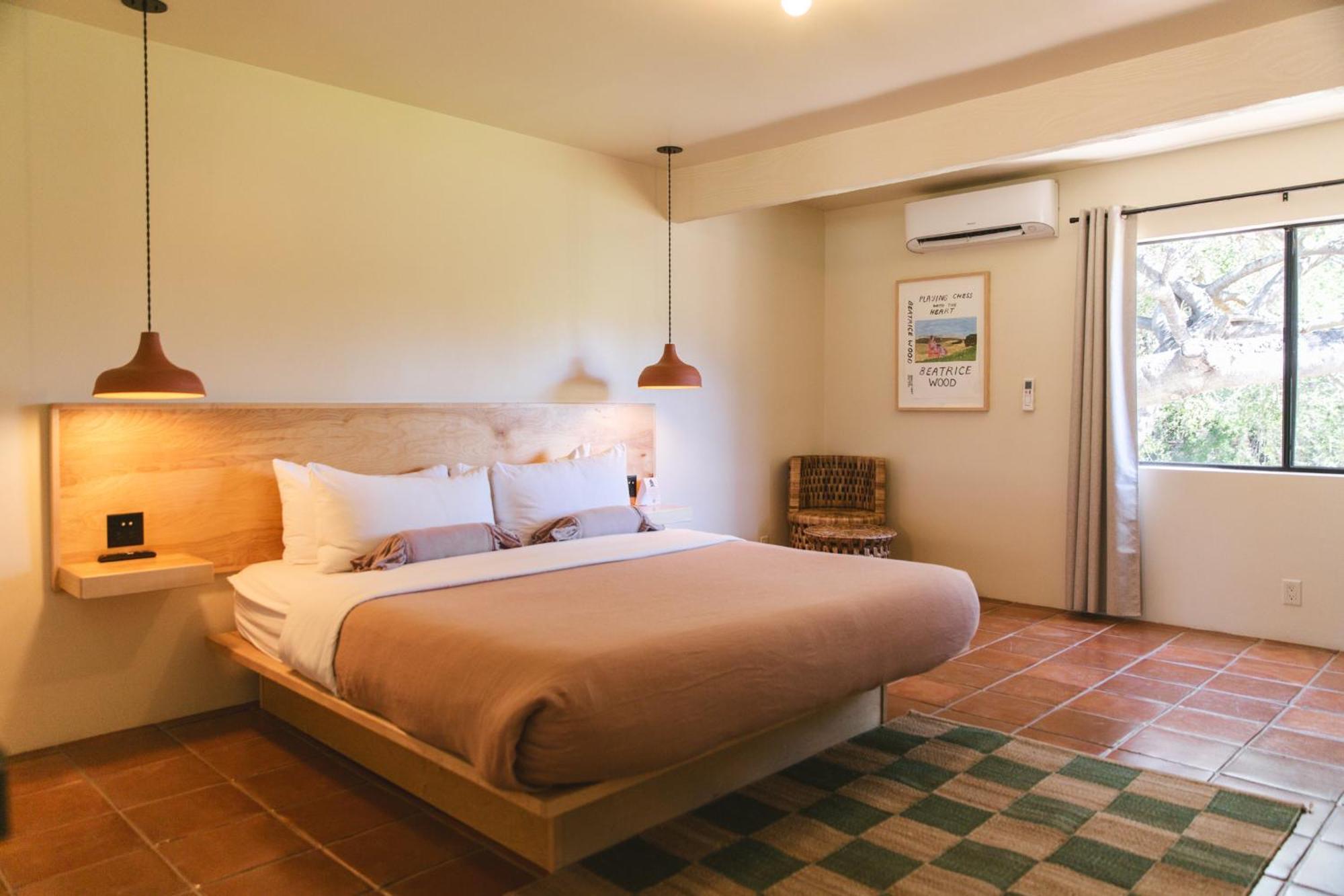 Standard Room - King