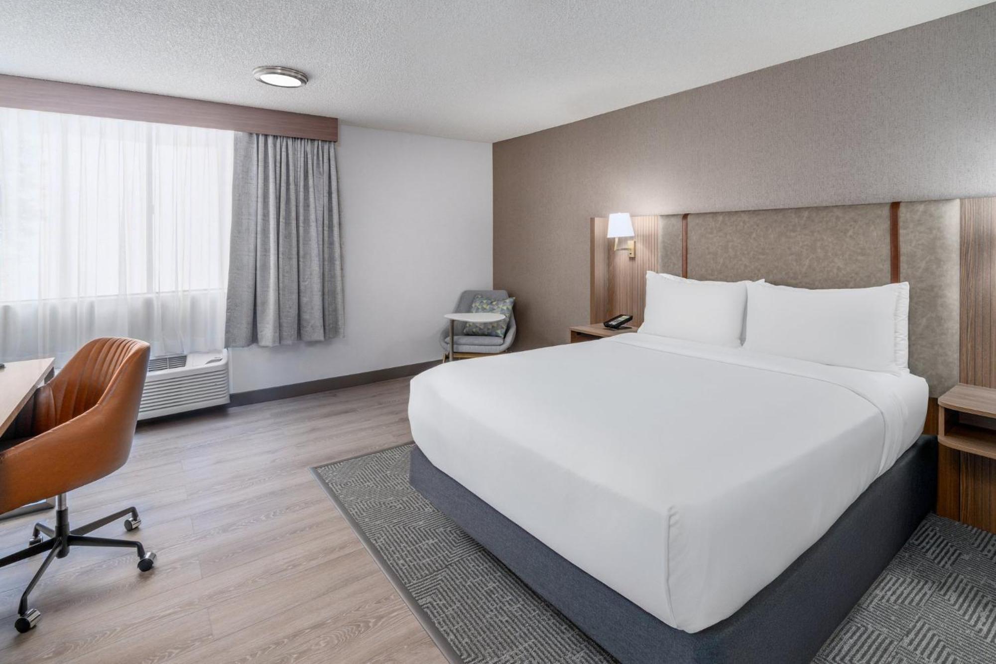 Standard King Room