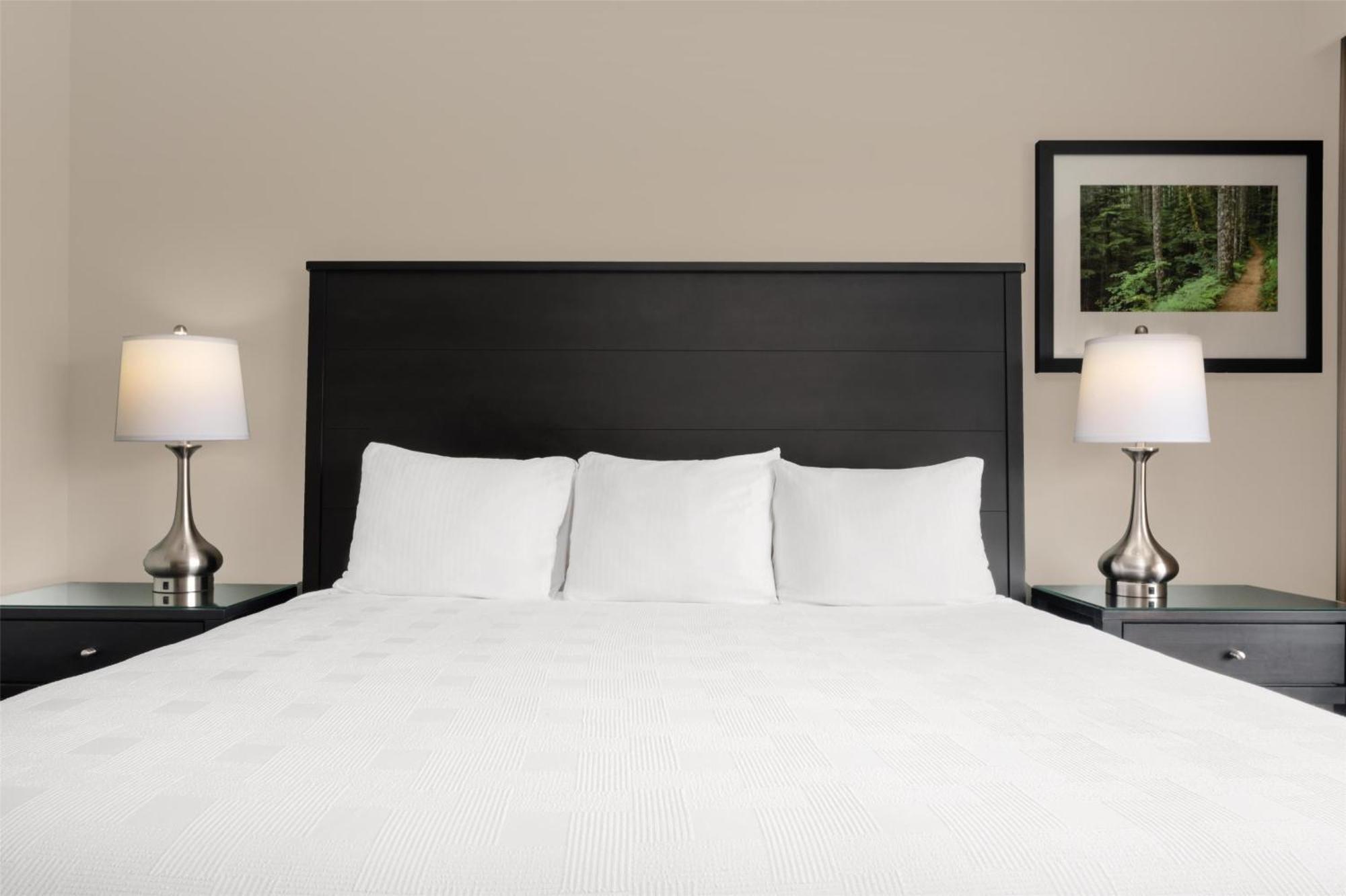 King Studio Suite with River View - No Pets