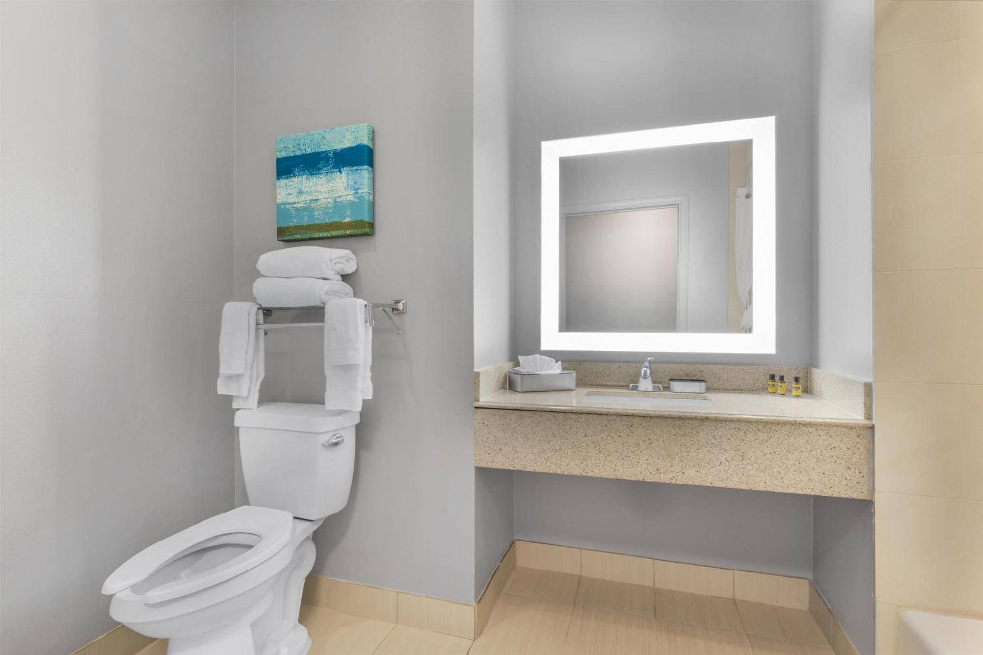 King Room with Bath Tub - Mobility Accessible/Non-Smoking