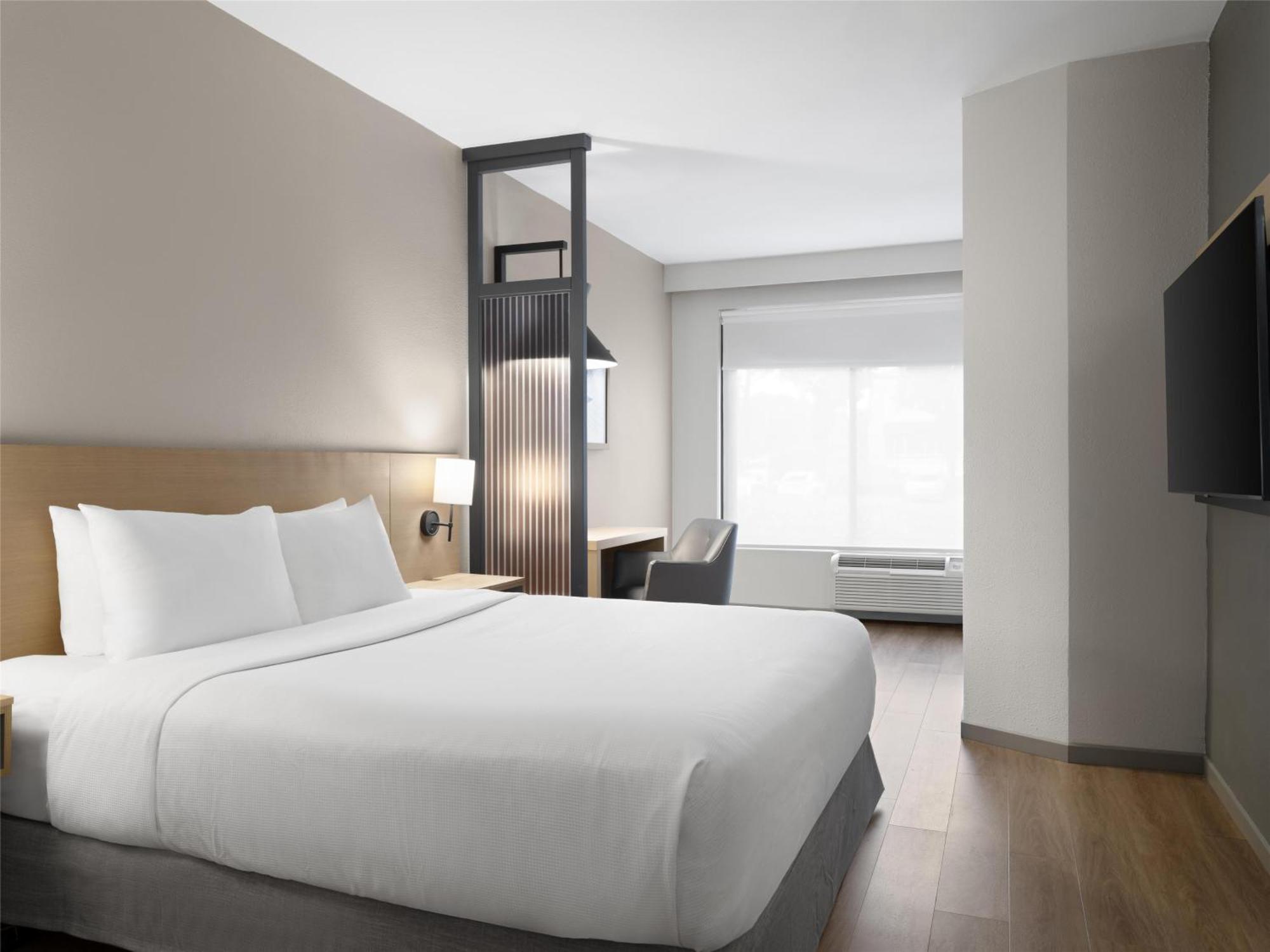 King Room with Sofa Bed - High Floor,1730047721:JPEG