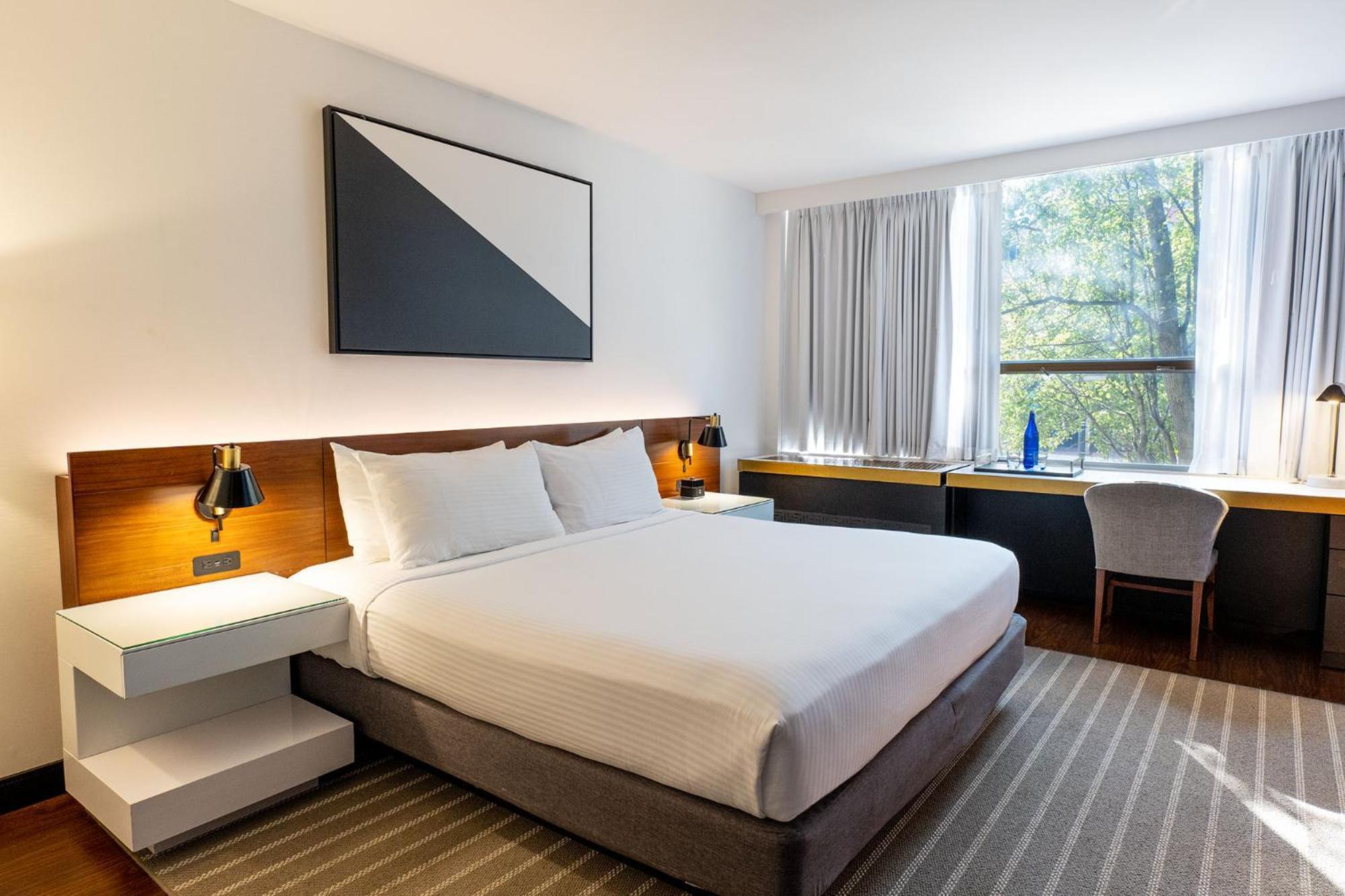 King Studio,1706780351:JPEG