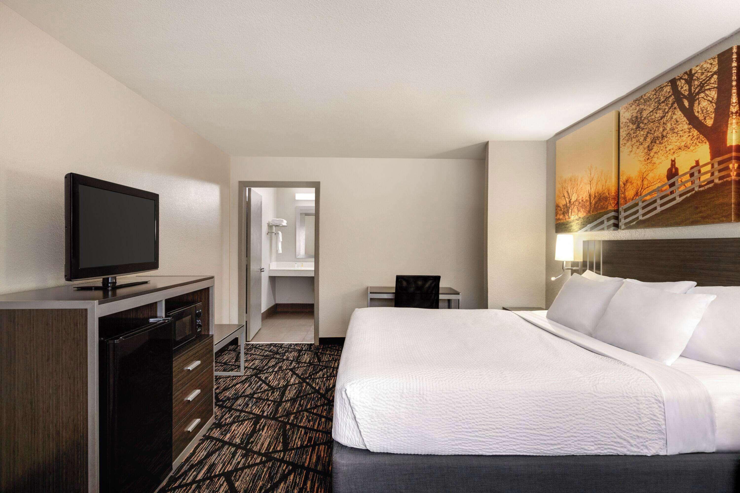 King Room with Roll-in Shower - Mobility Access/Non-Smoking
