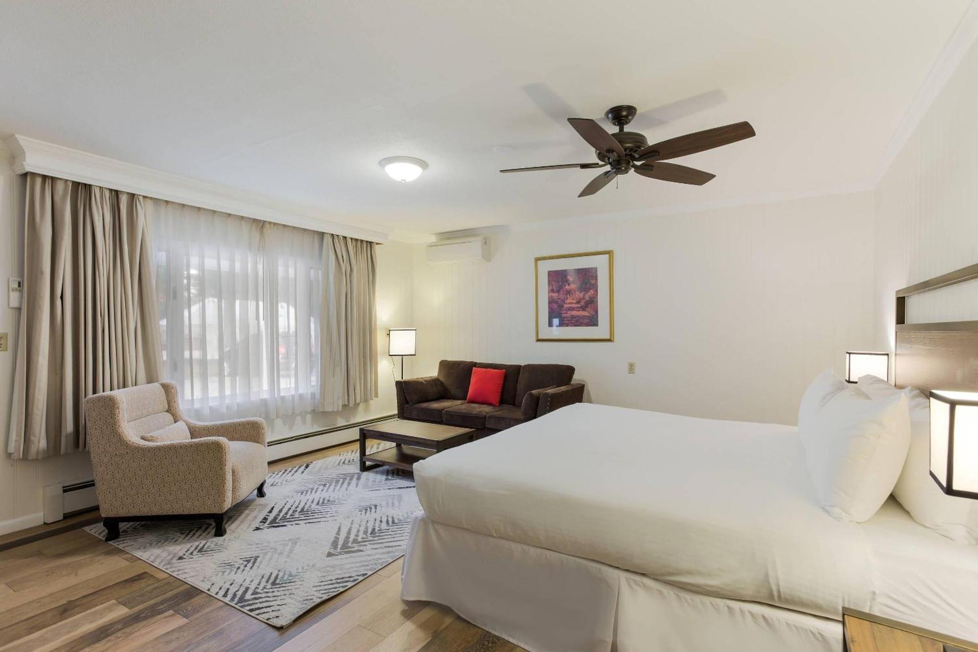 Standard King Room with Sofa Bed - Non-Smoking,1722962400:JPEG