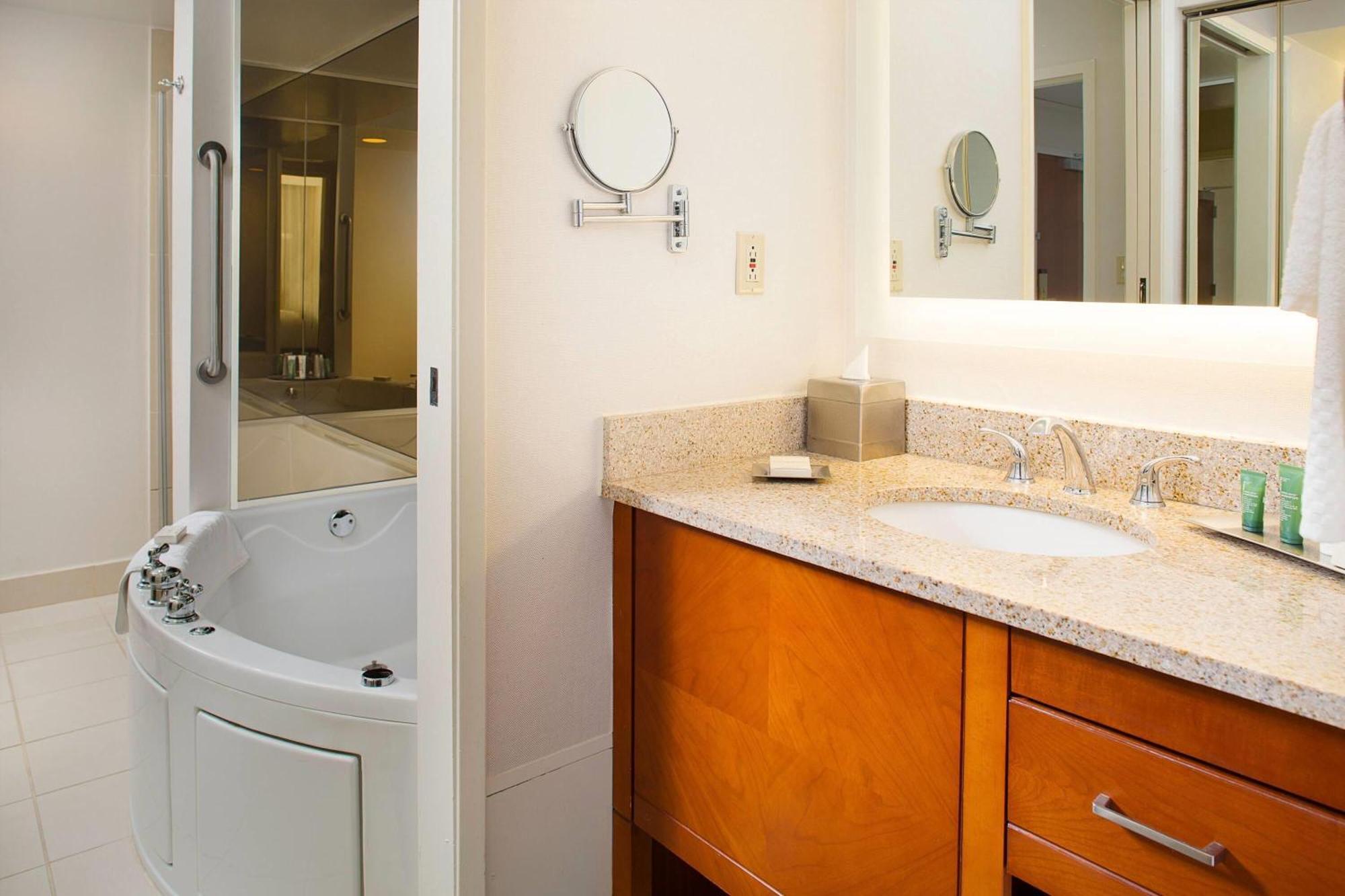 One-Bedroom Deluxe King Suite - Non-Smoking