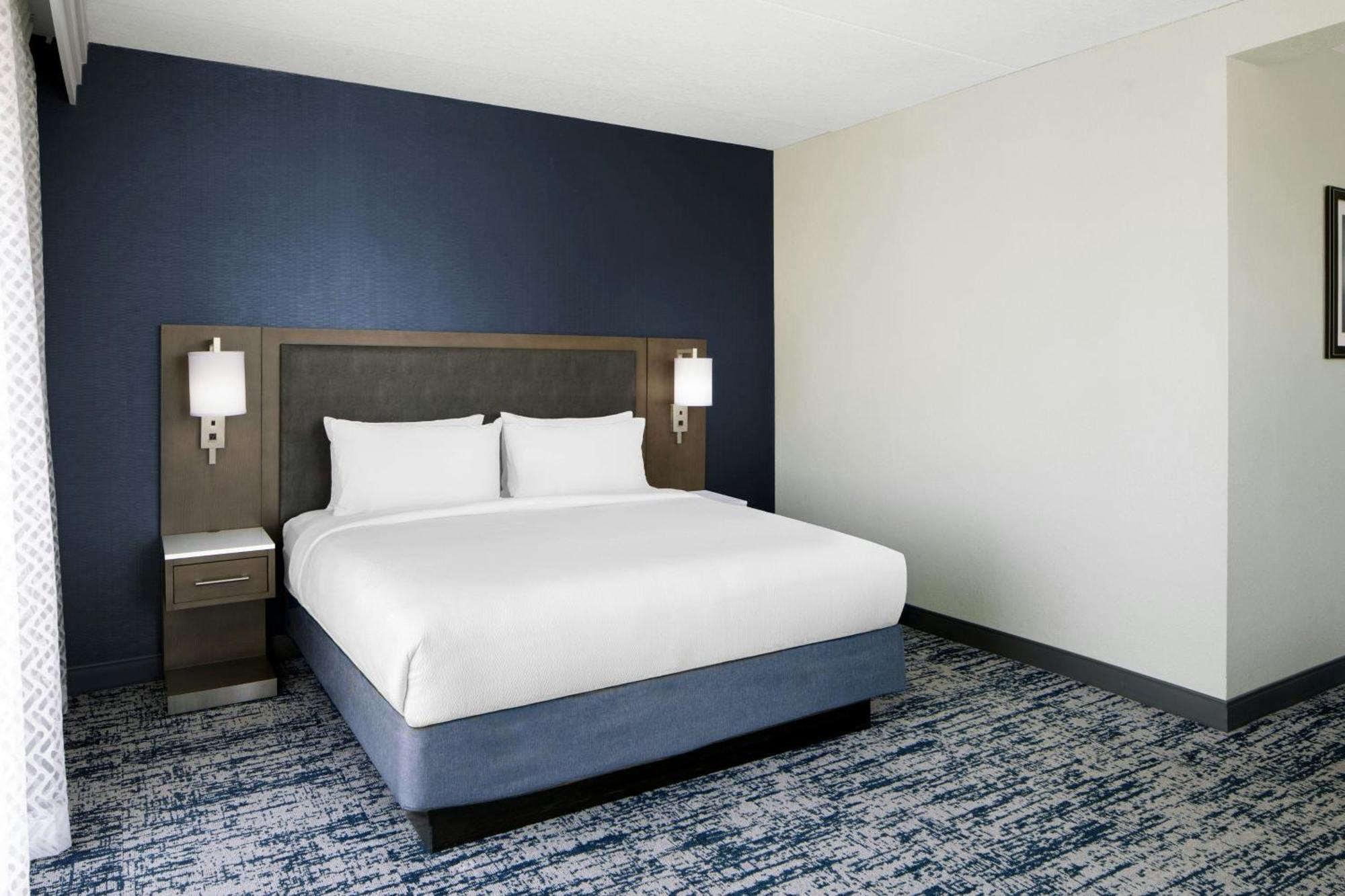 One-Bedroom King Suite with Sofa Bed