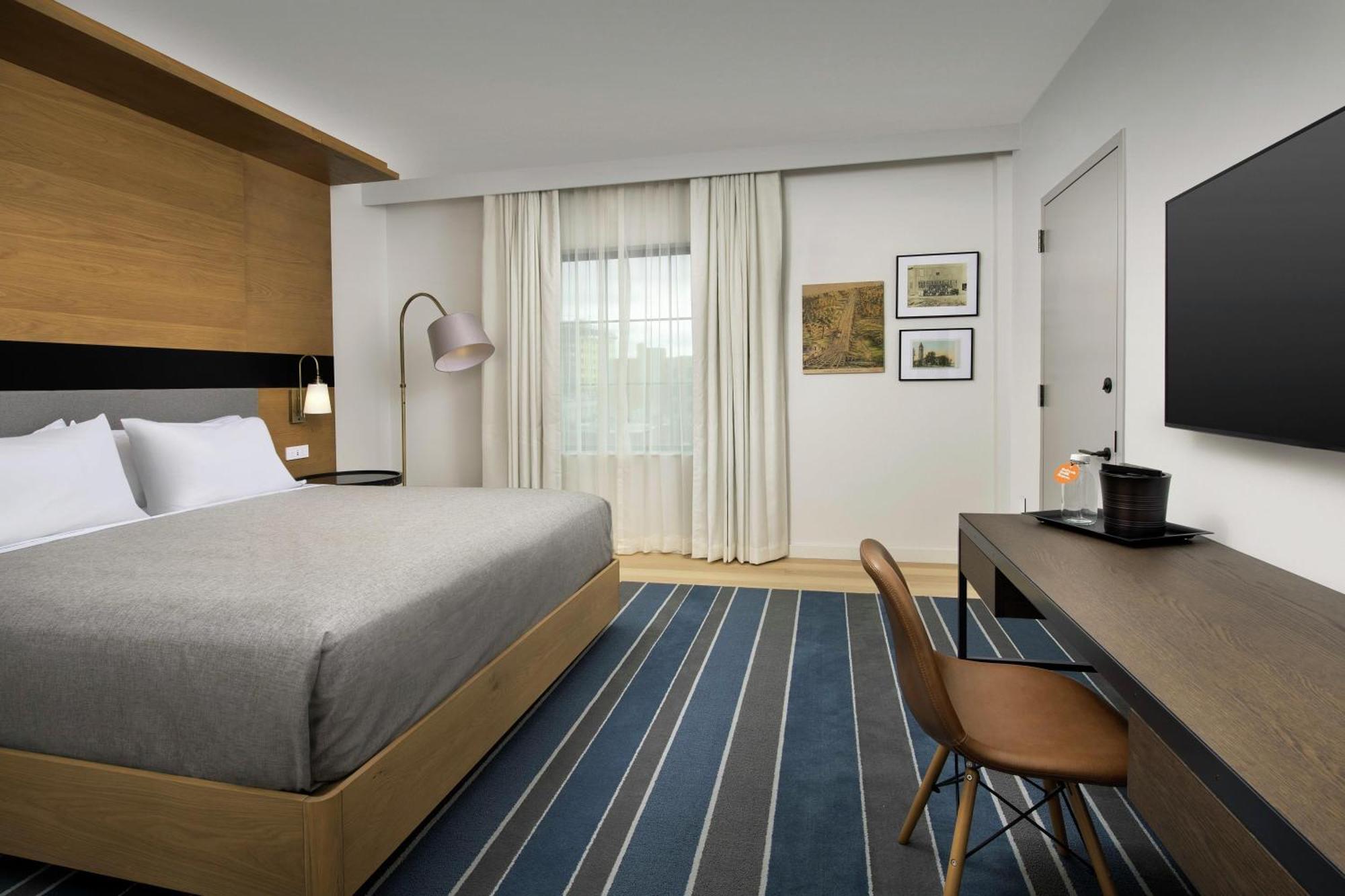 King Room - Mobility and Hearing Access,1743232789:JPEG