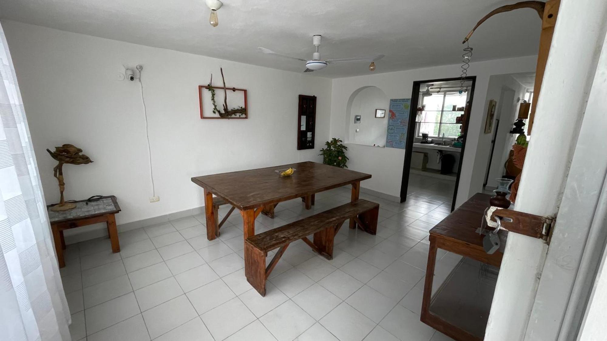 Single Bed in Mixed Dormitory Room