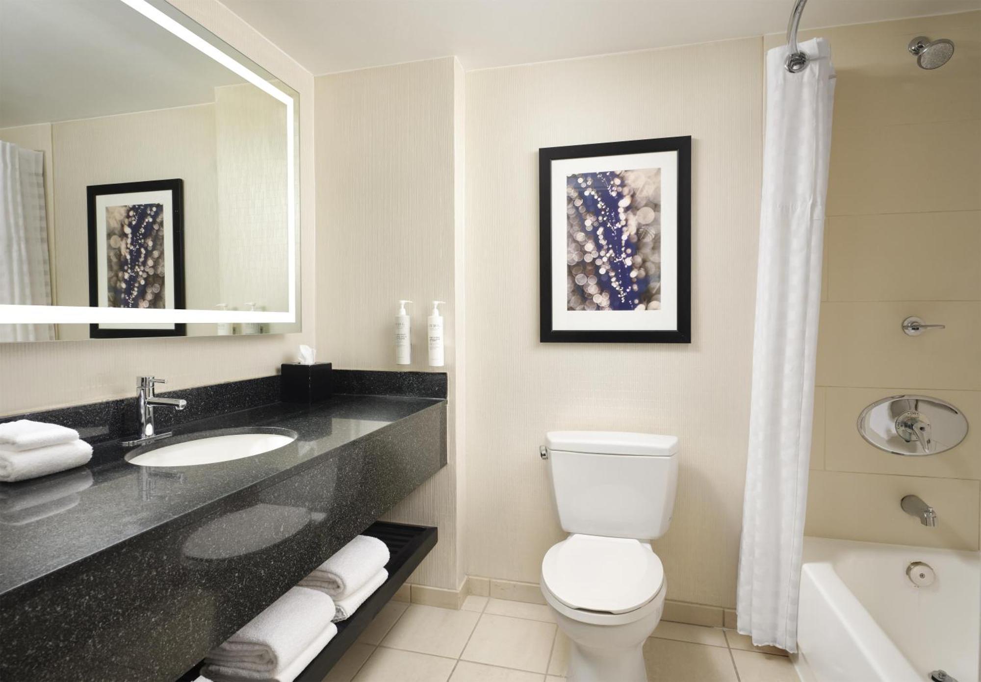 Premium King Suite with City View - Non-Smoking