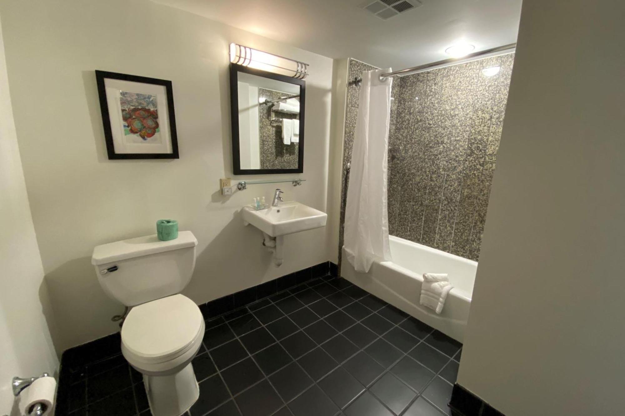 One-Bedroom King Suite - Non-Smoking