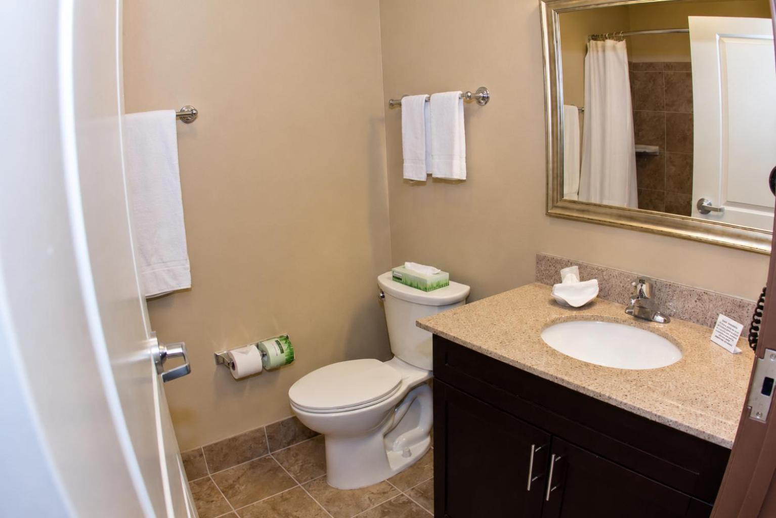 Efficiency King Suite - Accessible/Non-Smoking