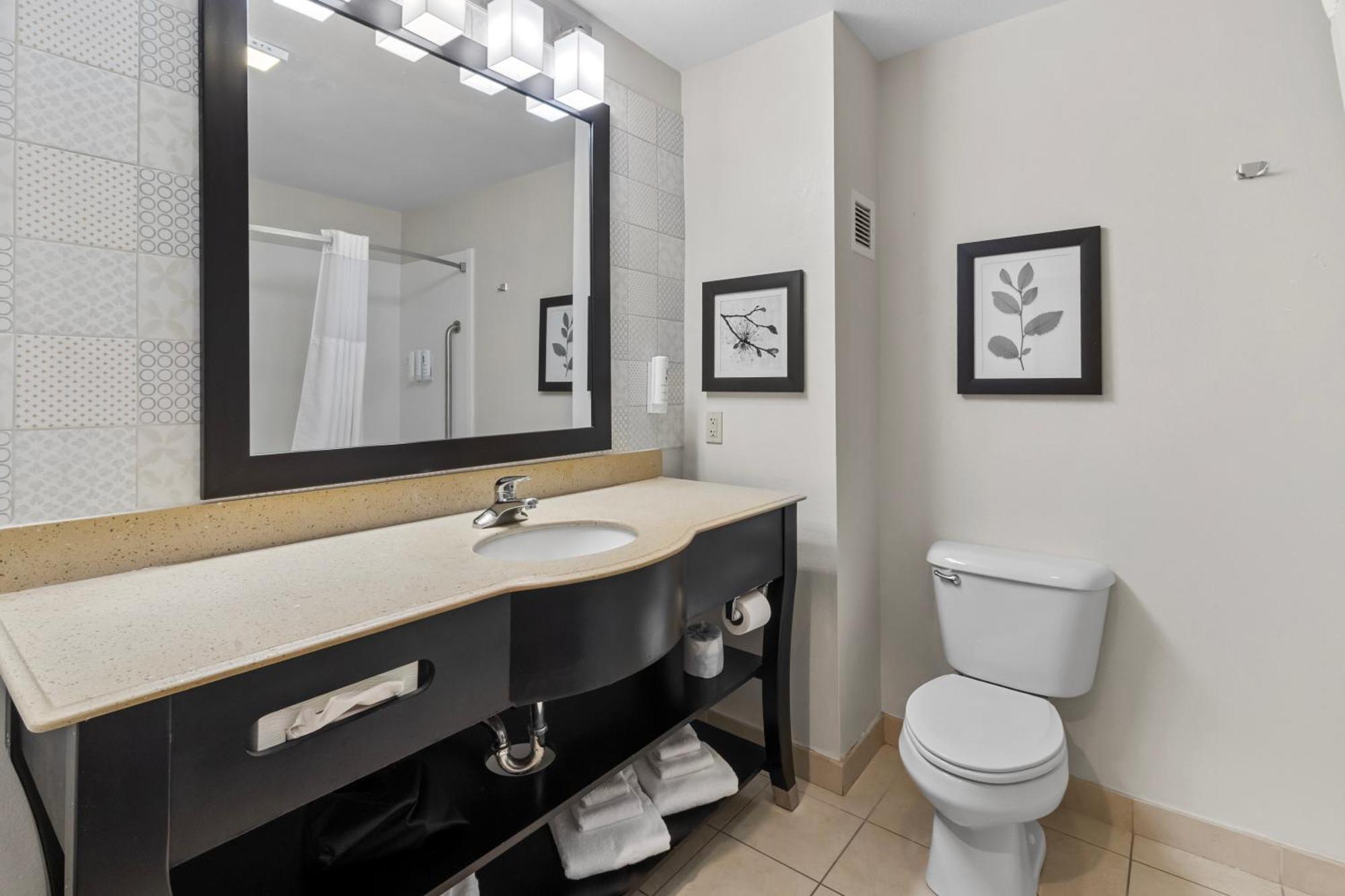 One-Bedroom King Suite